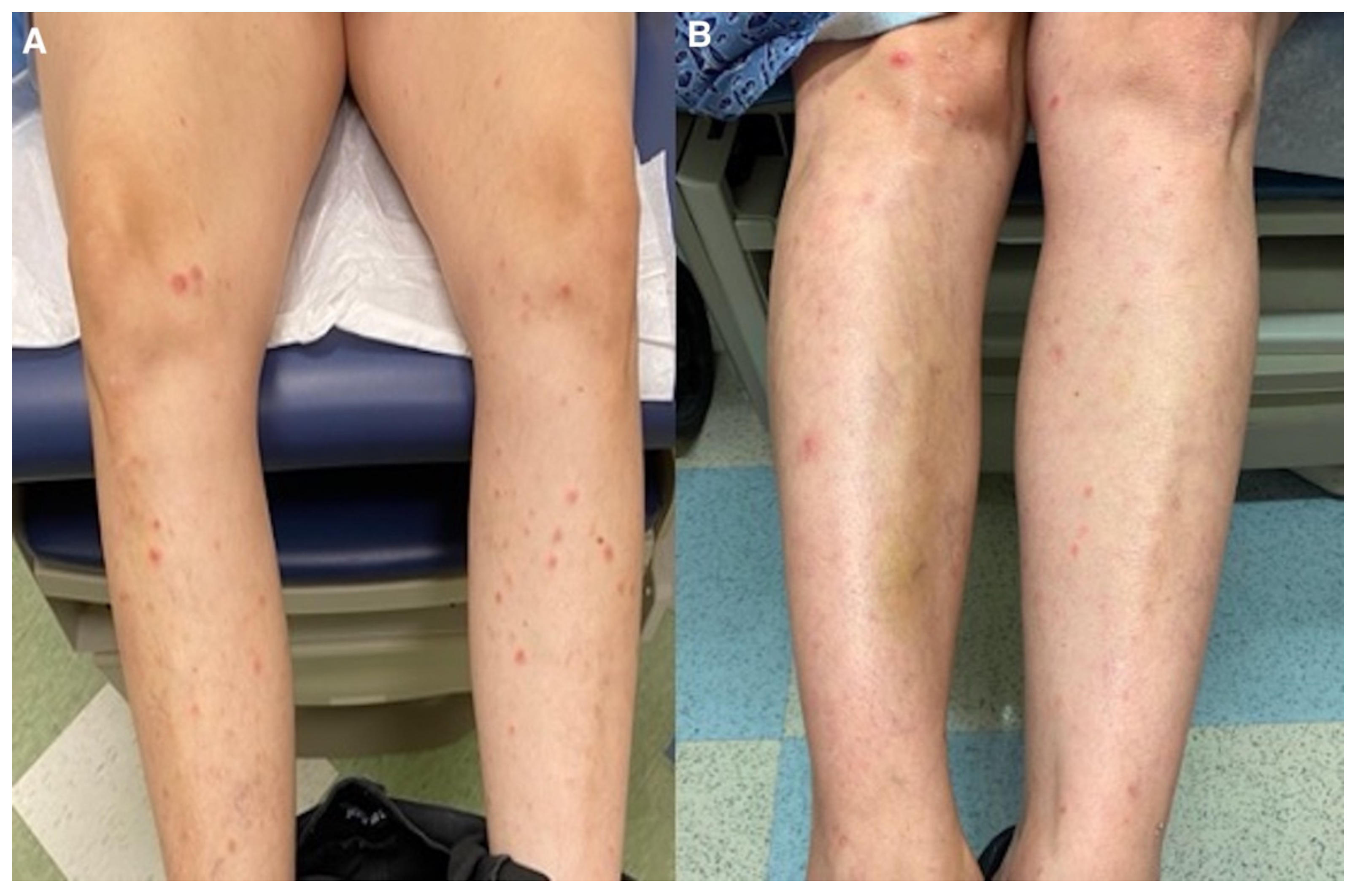 Dermatopathology 09 00028 g005