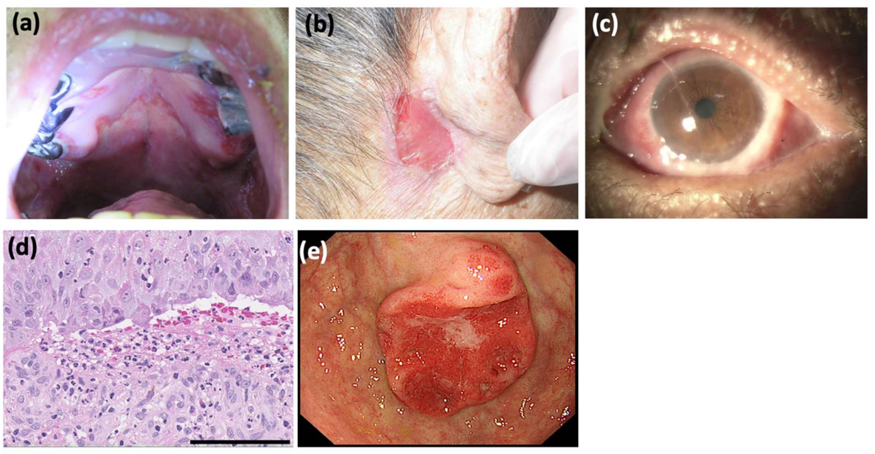 Dermatopathology 09 00034 g001 550