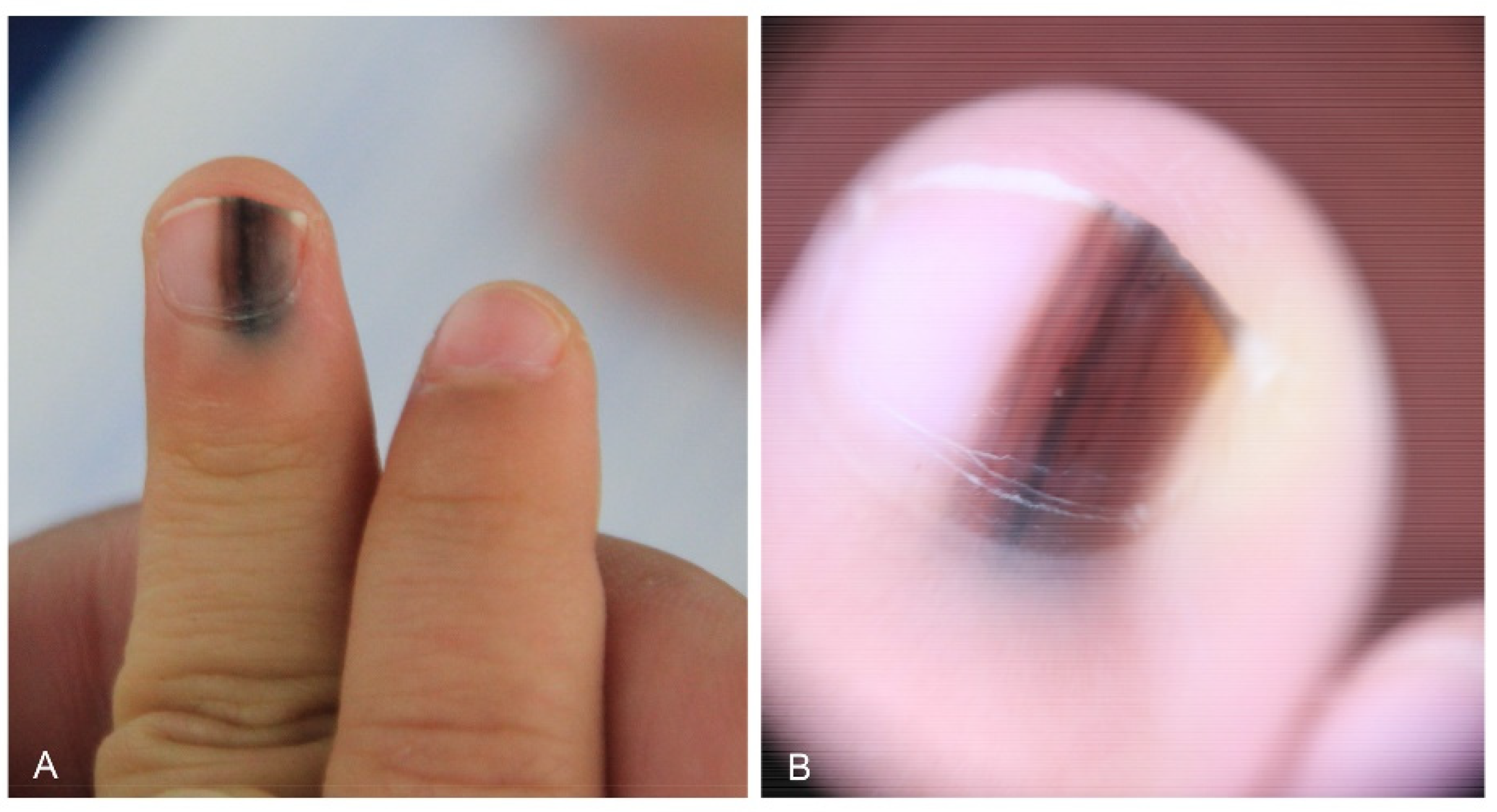 Dermatopathology 09 00035 g003