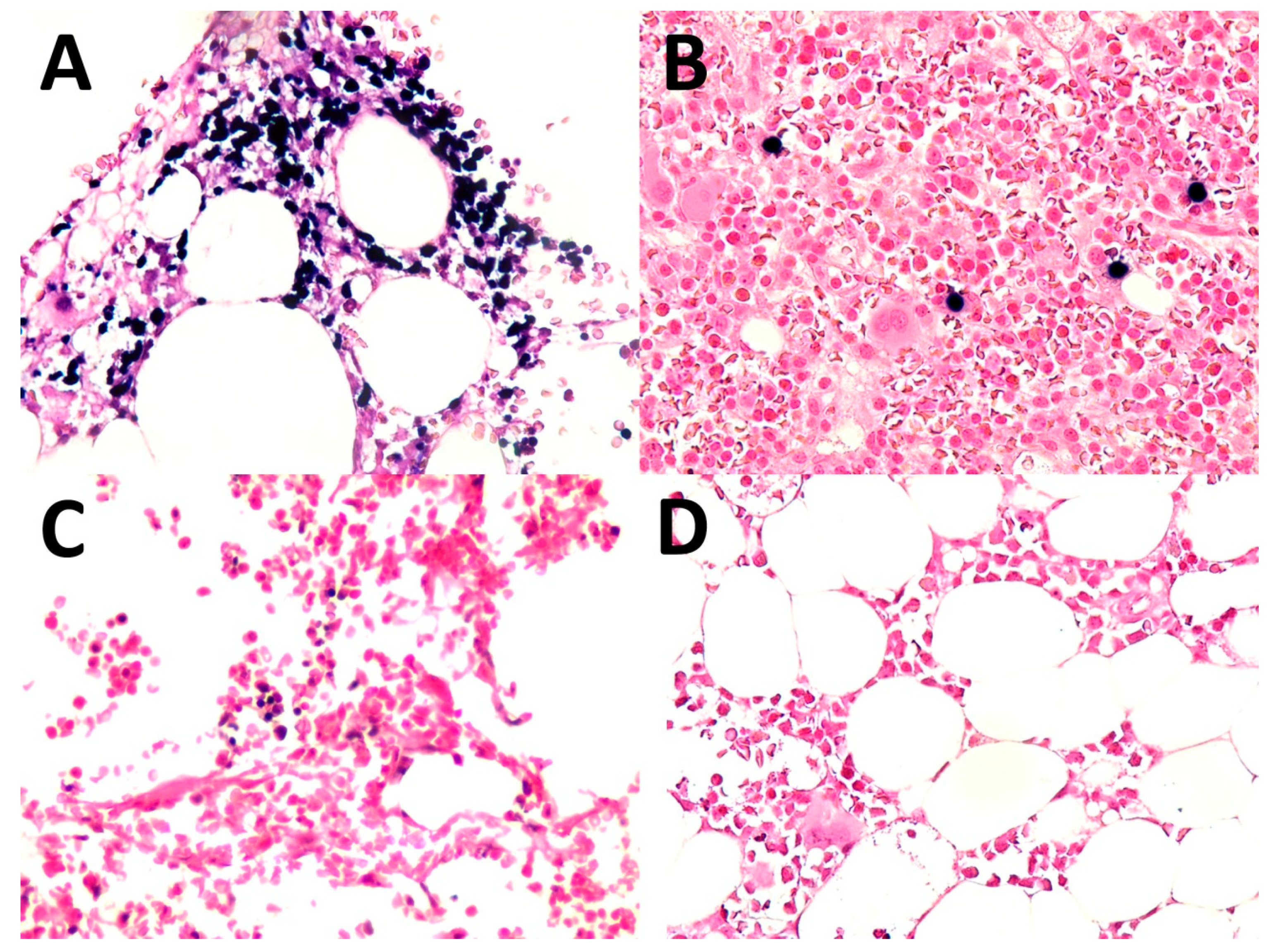 Dermatopathology 09 00037 g005