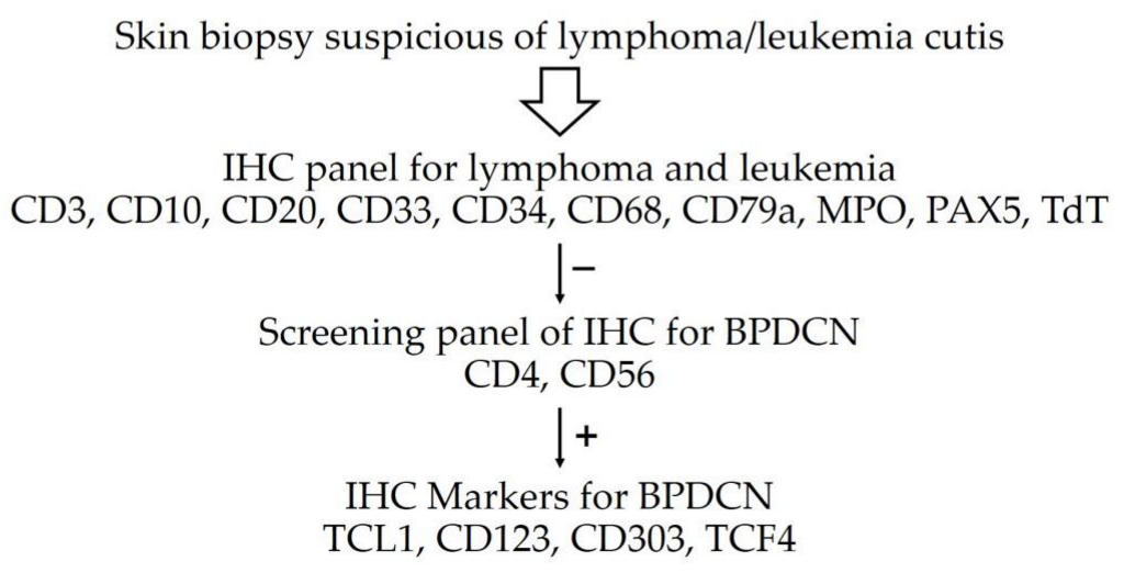 Dermatopathology 09 00038 g005 550