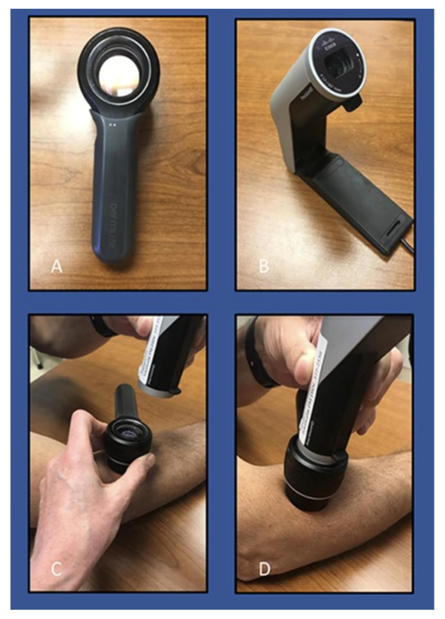 Dermatopathology 09 00039 g002 Dermatopathology 09 00039 g002