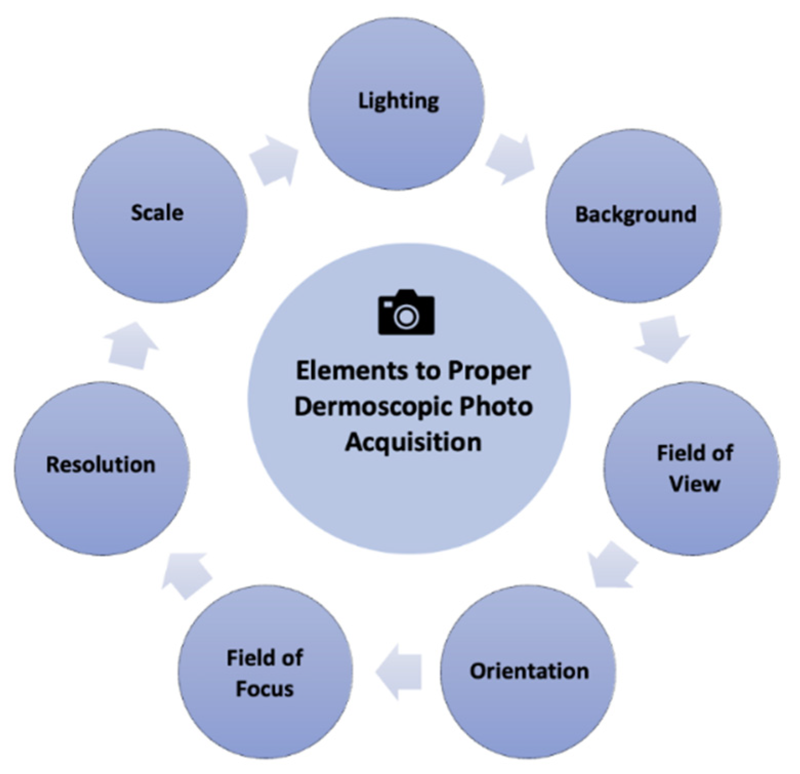 Dermatopathology 09 00039 g004 Dermatopathology 09 00039 g004