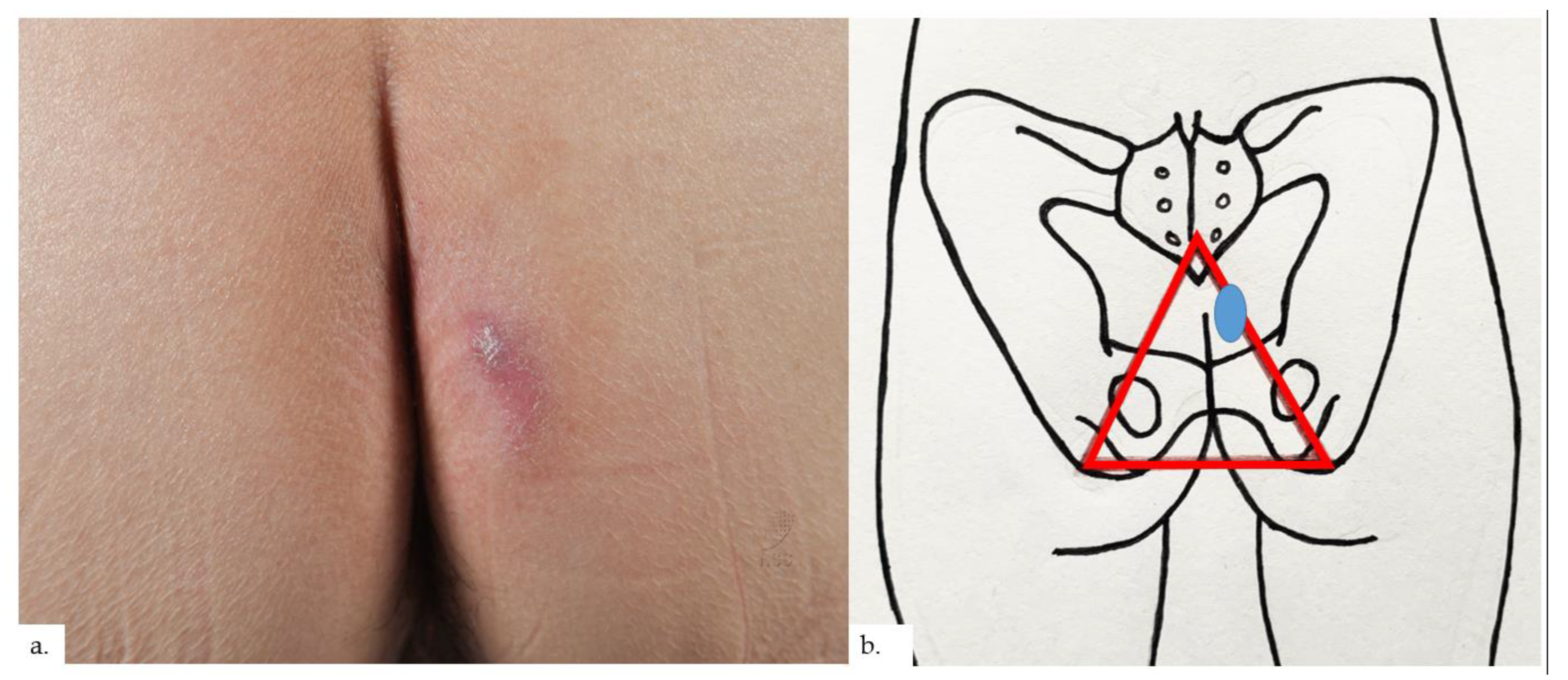 Dermatopathology 09 00040 g005