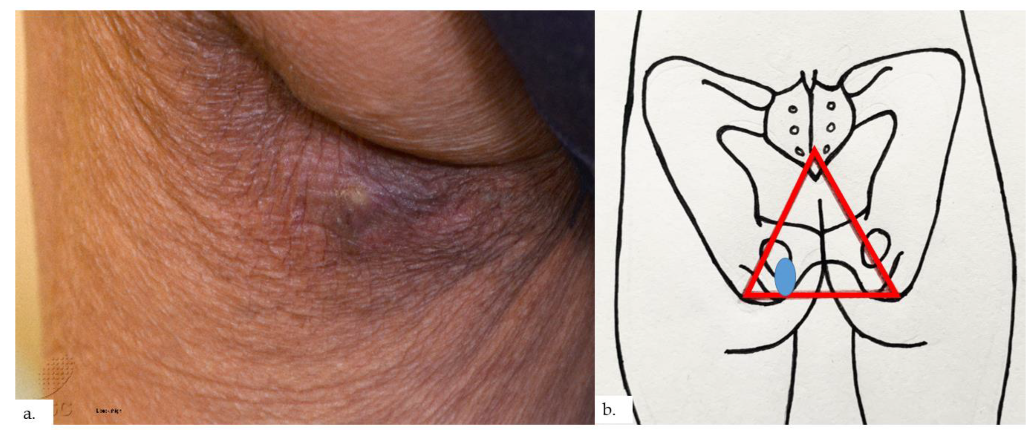 Dermatopathology 09 00040 g007