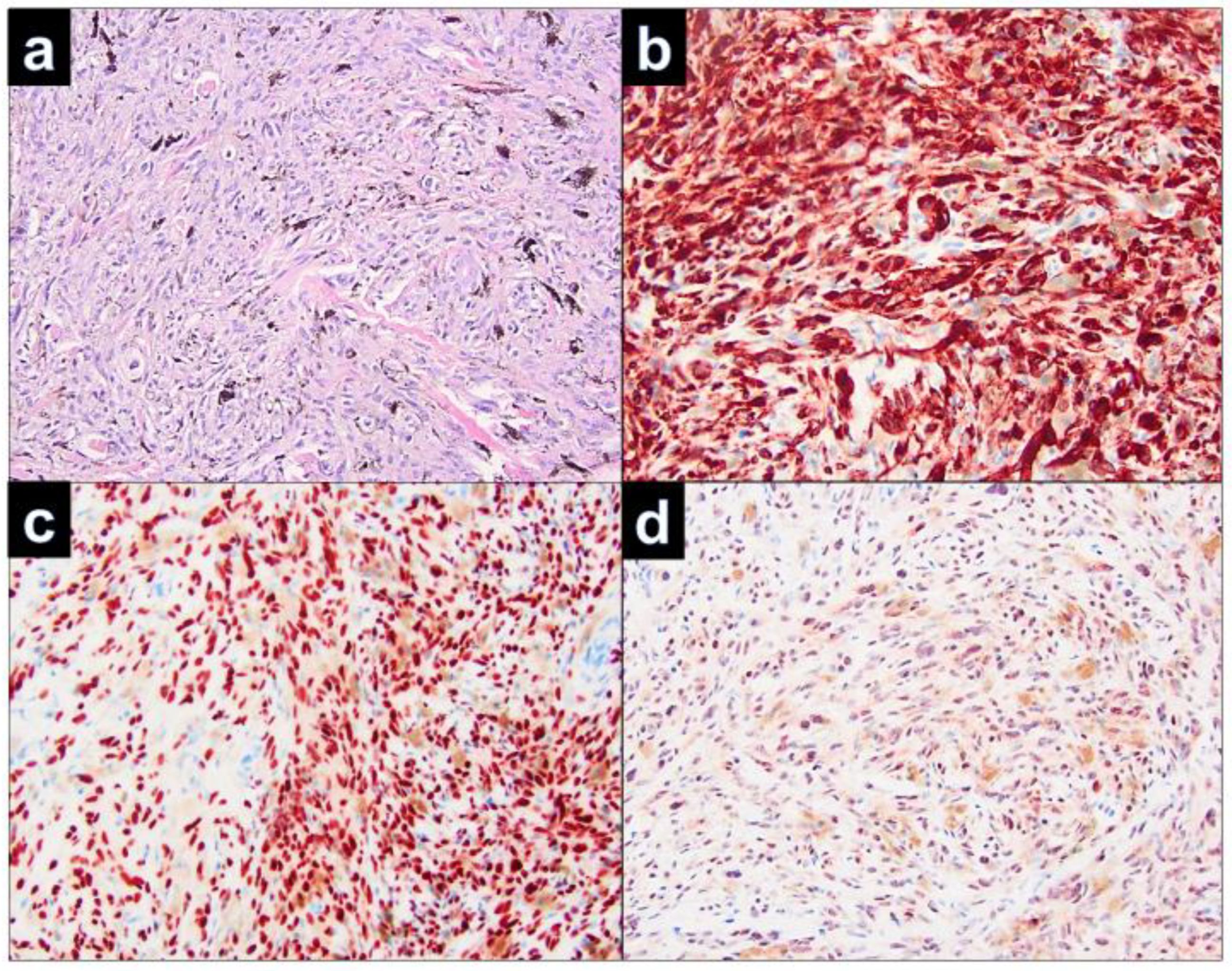 Dermatopathology 09 00042 g003 Dermatopathology 09 00042 g003