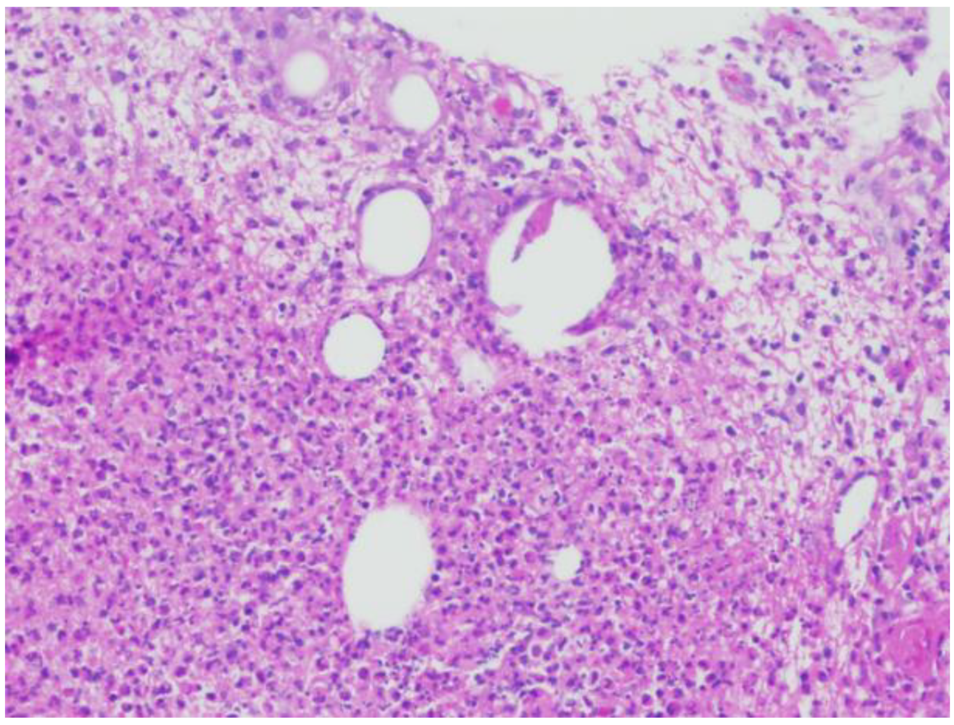 Dermatopathology 09 00047 g001