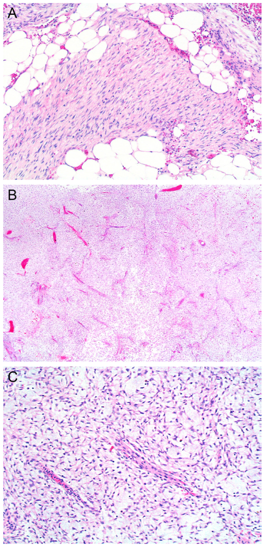 Dermatopathology 10 00008 g002