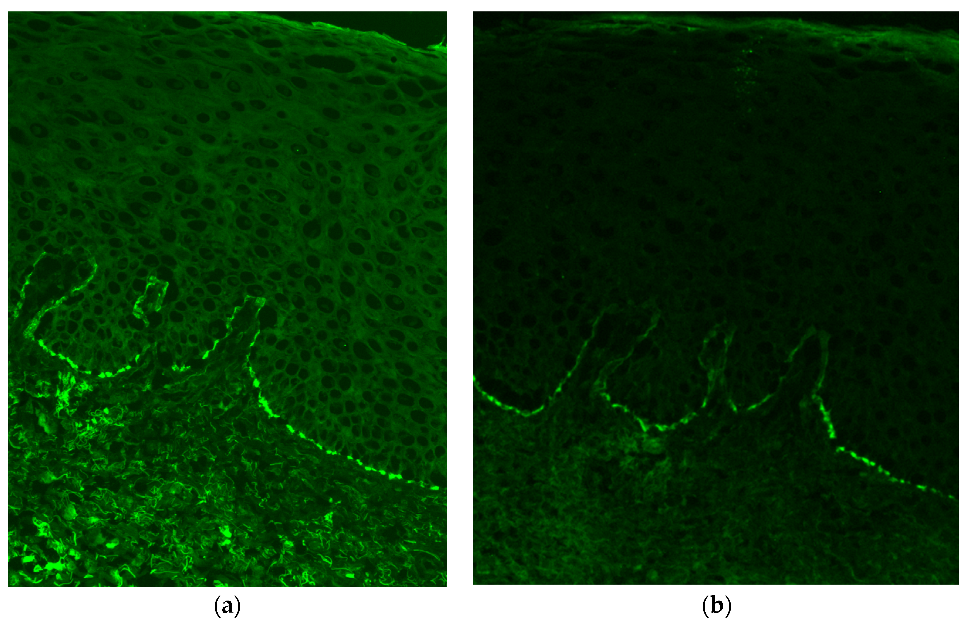Dermatopathology 10 00009 g004