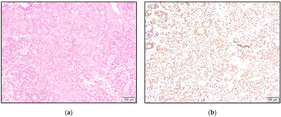 Dermatopathology 10 00011 g001 550