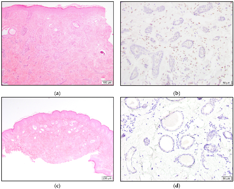 Dermatopathology 10 00011 g006 550