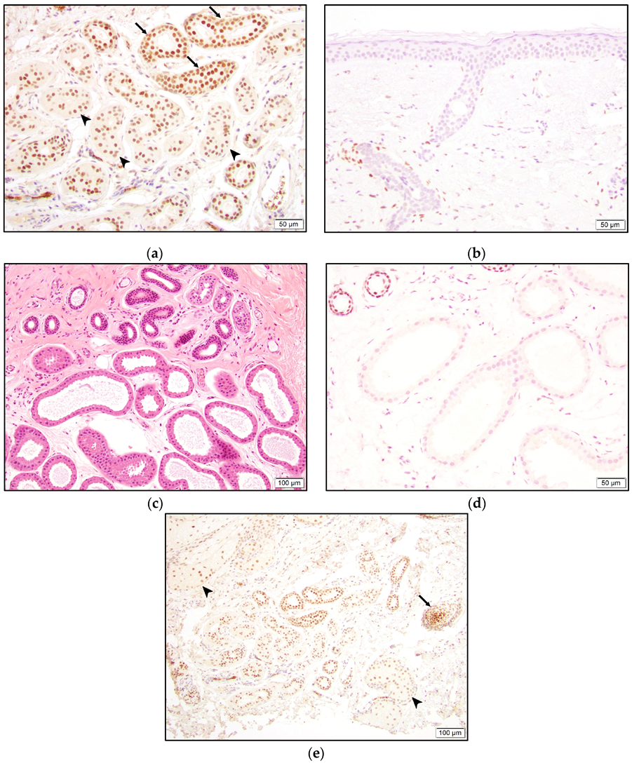 Dermatopathology 10 00011 g008 550