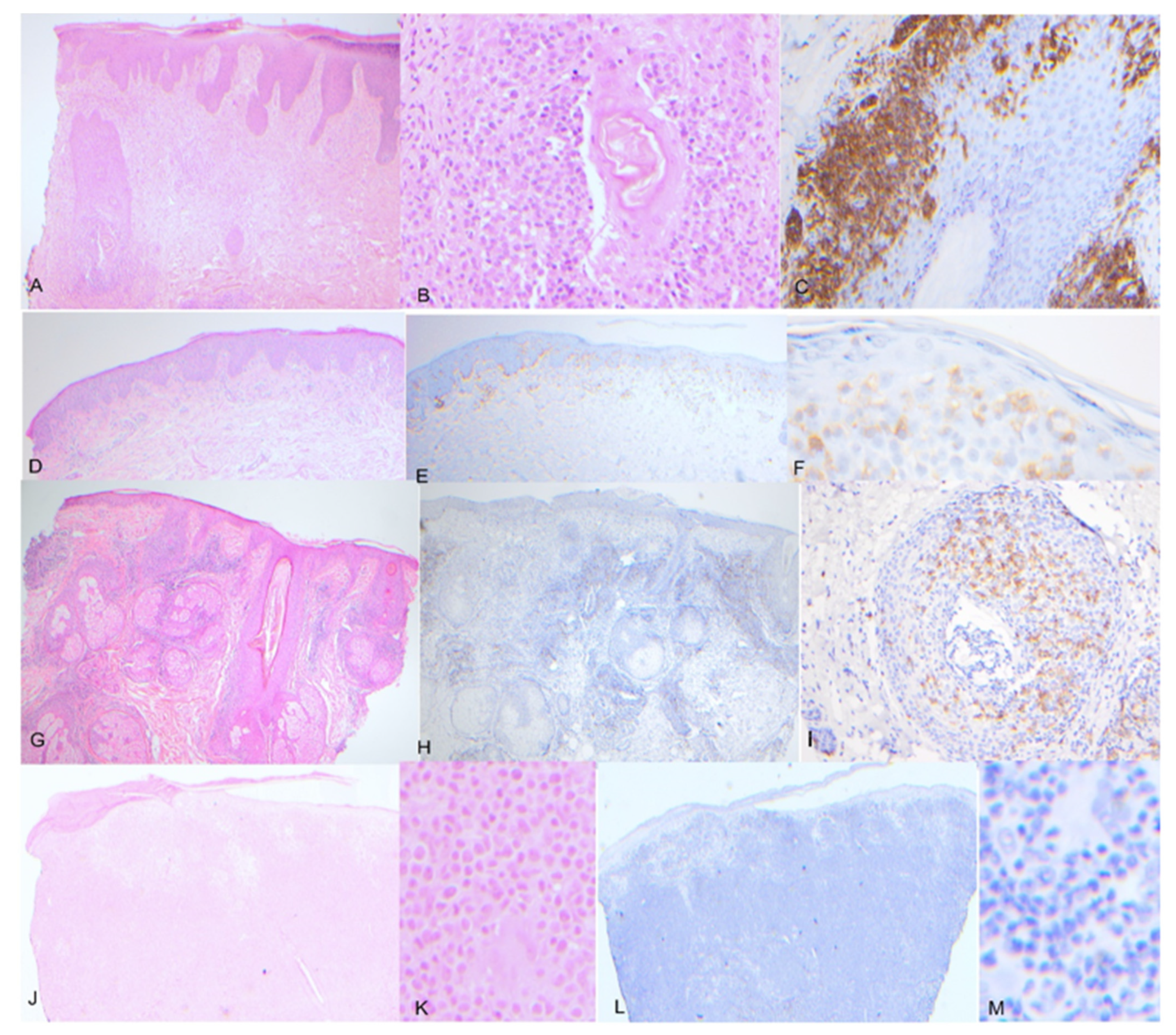 Dermatopathology 10 00038 g002
