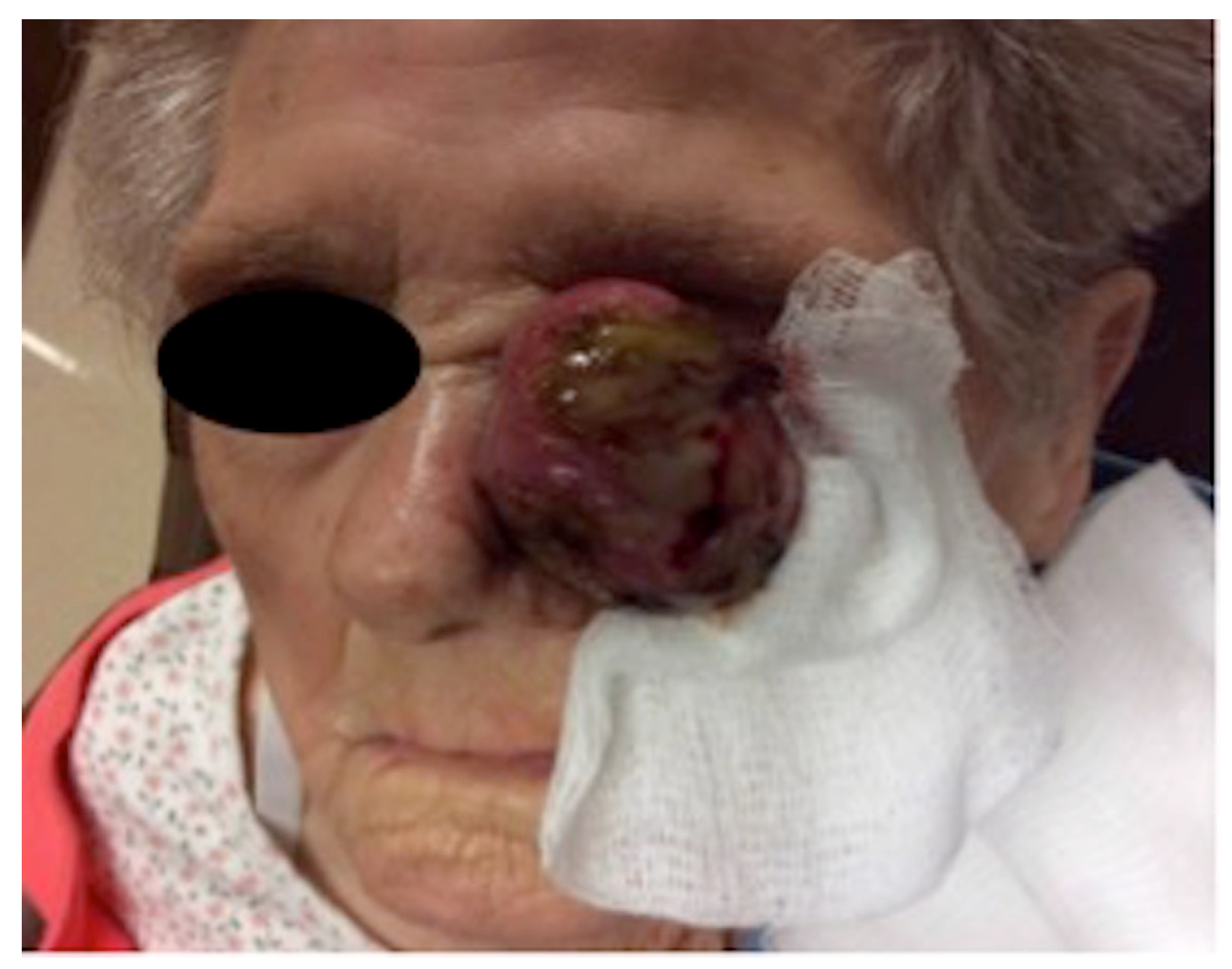 Dermatopathology 11 00003 g001