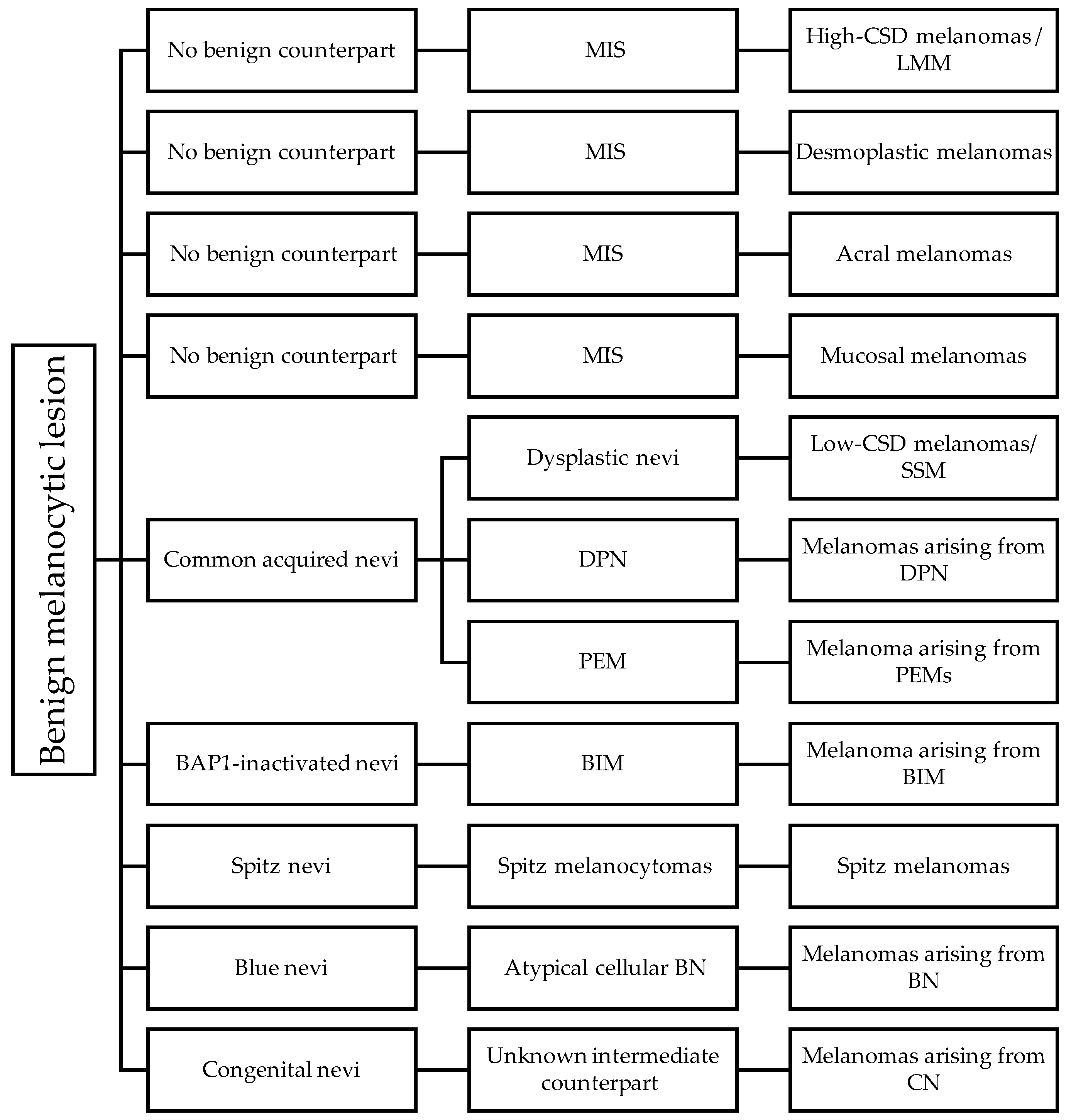 Dermatopathology 11 00005 g002