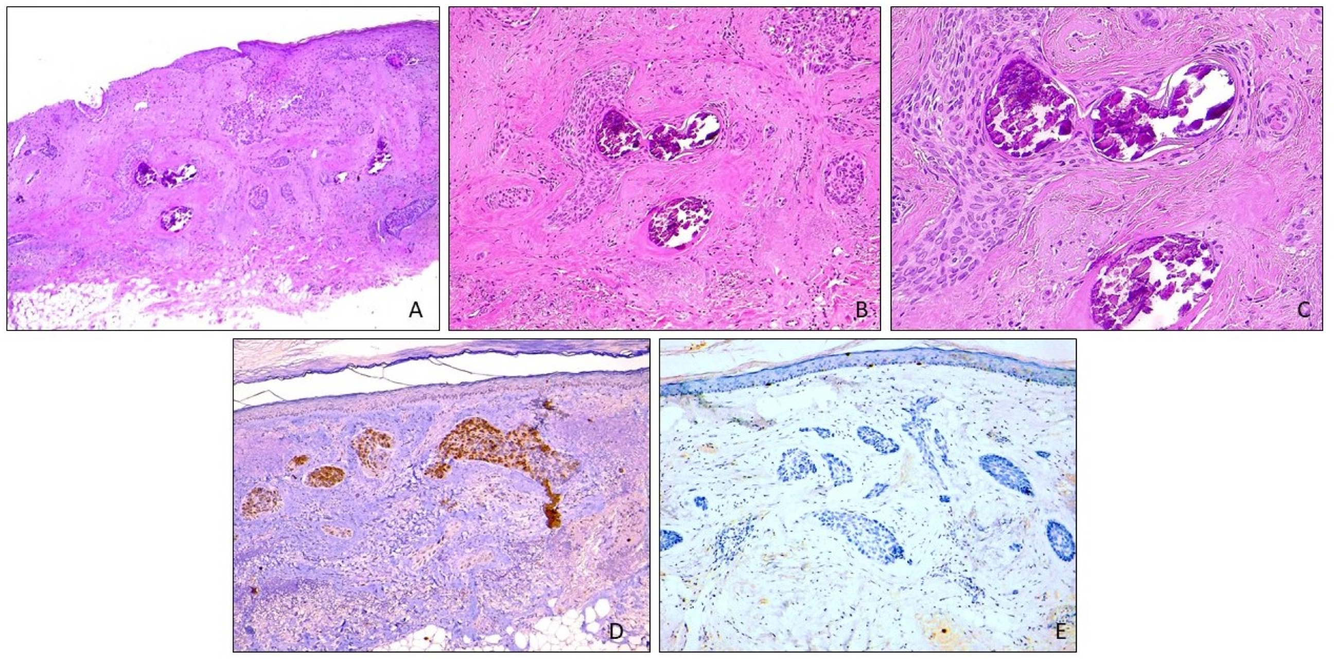 Dermatopathology 11 00016 g002