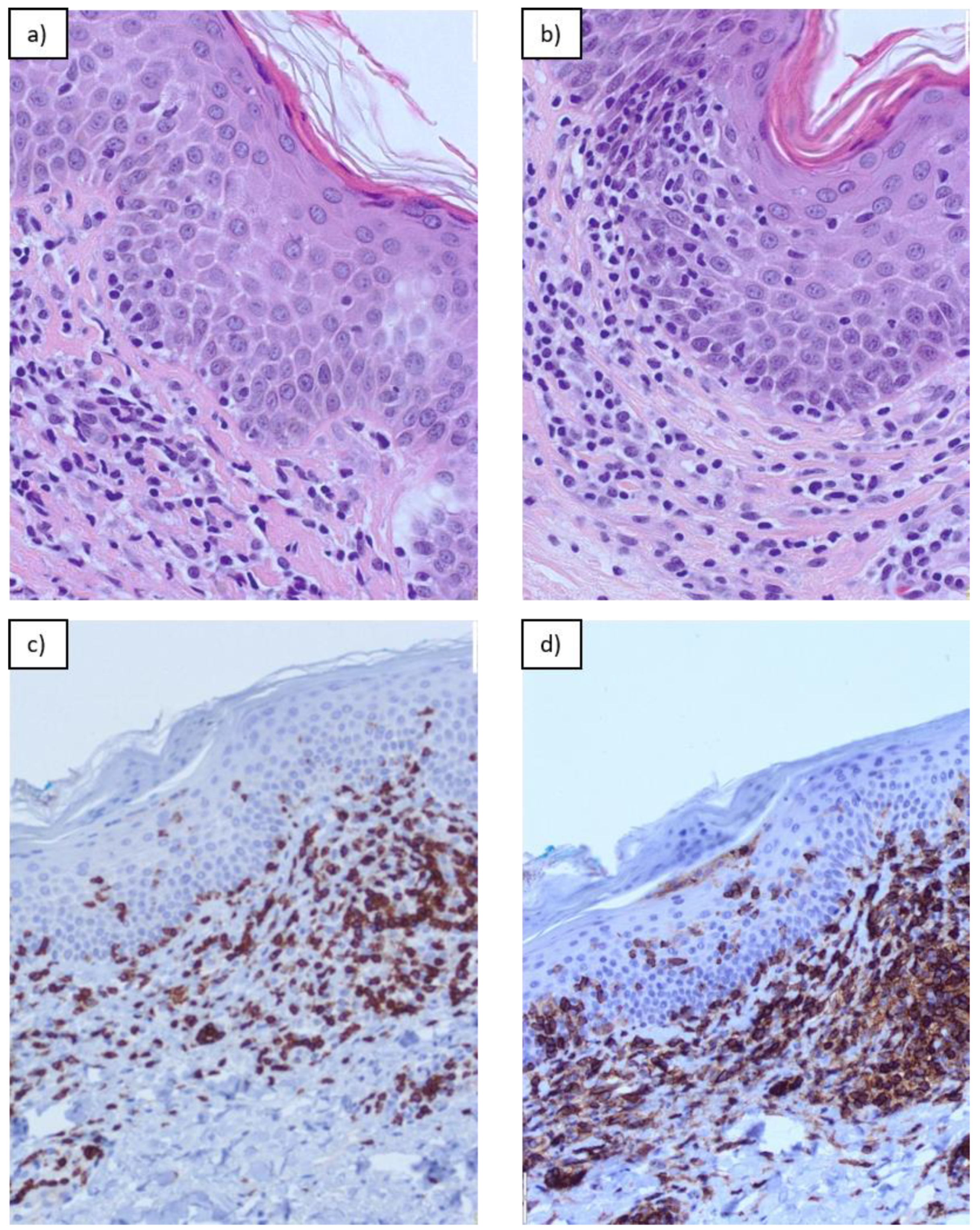 Dermatopathology 11 00017 g001 Dermatopathology 11 00017 g001