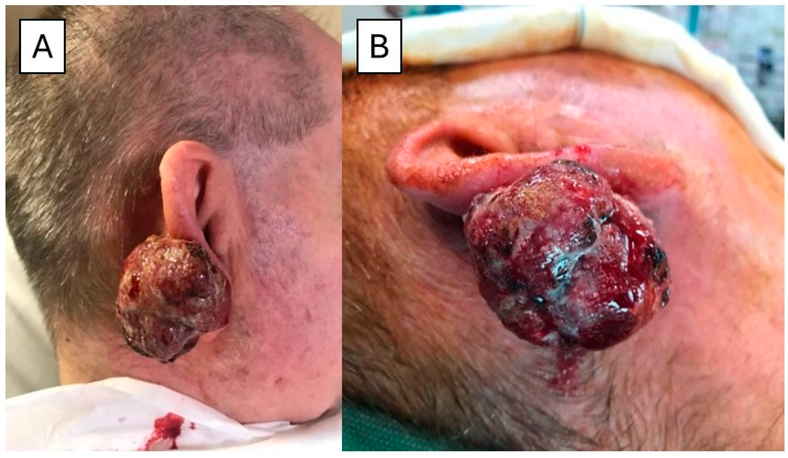 Dermatopathology 11 00022 g002