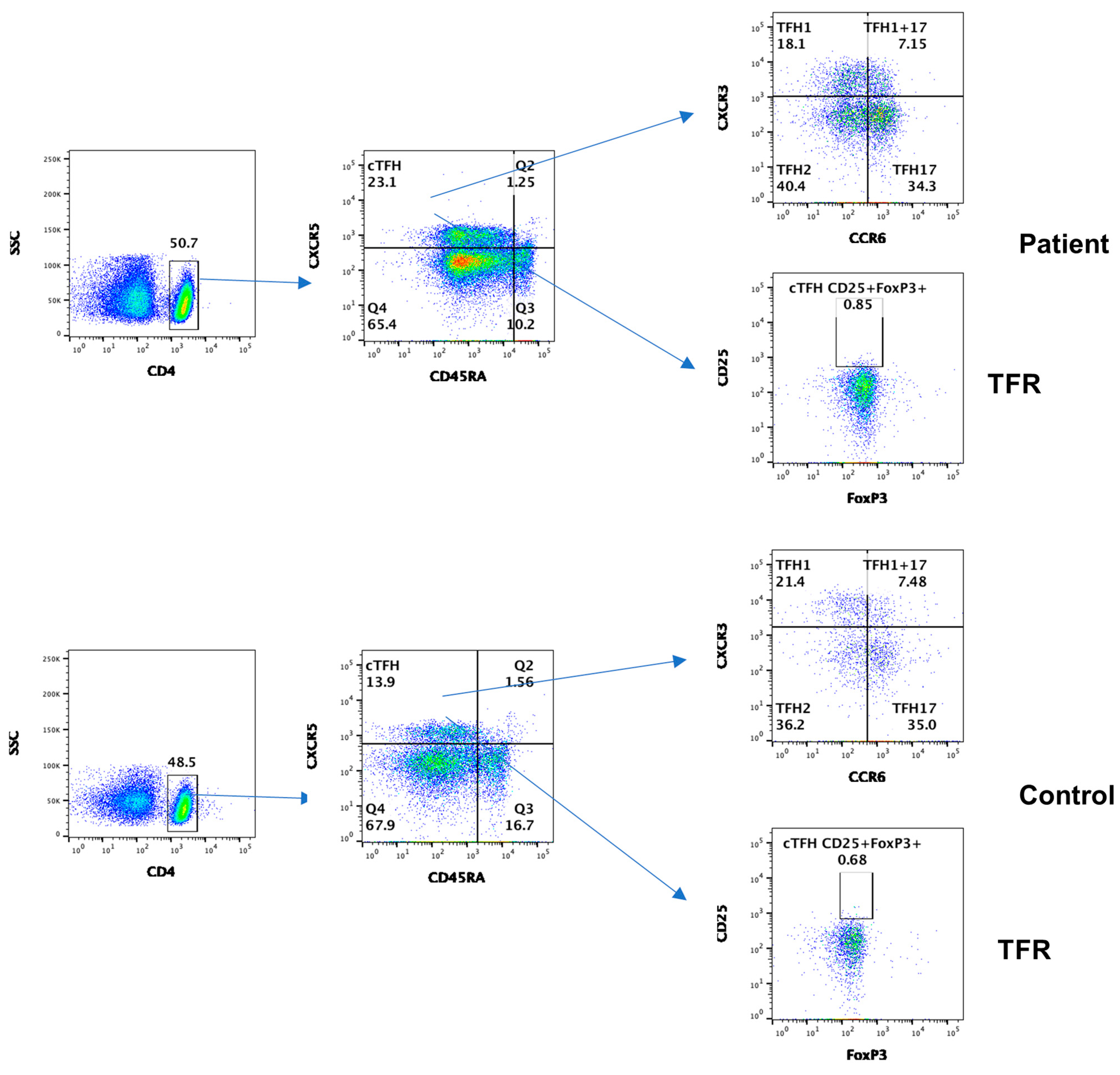 Dermatopathology 11 00023 g005