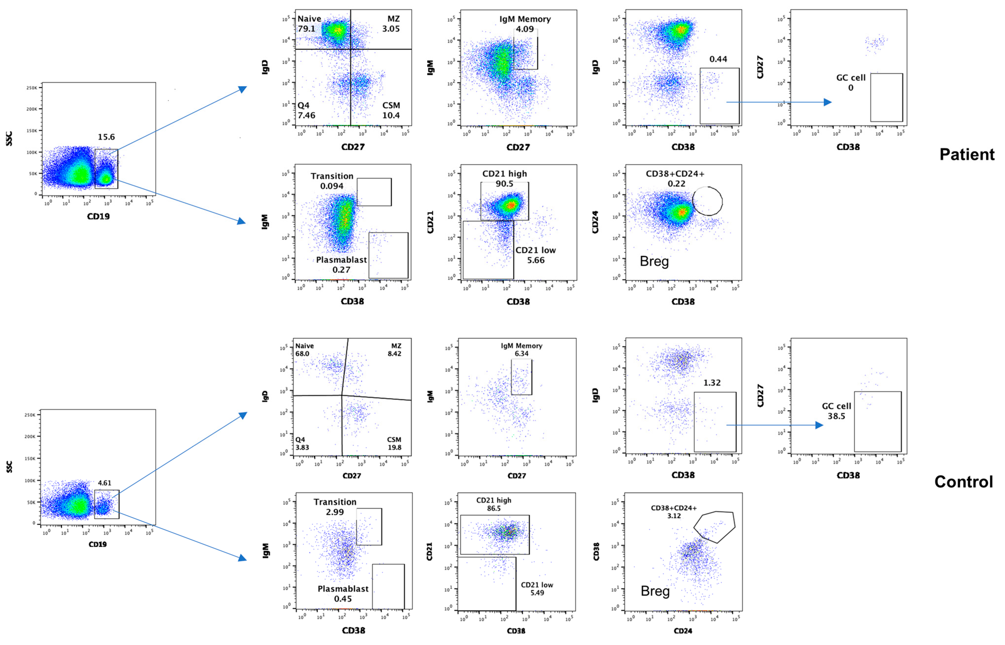 Dermatopathology 11 00023 g006