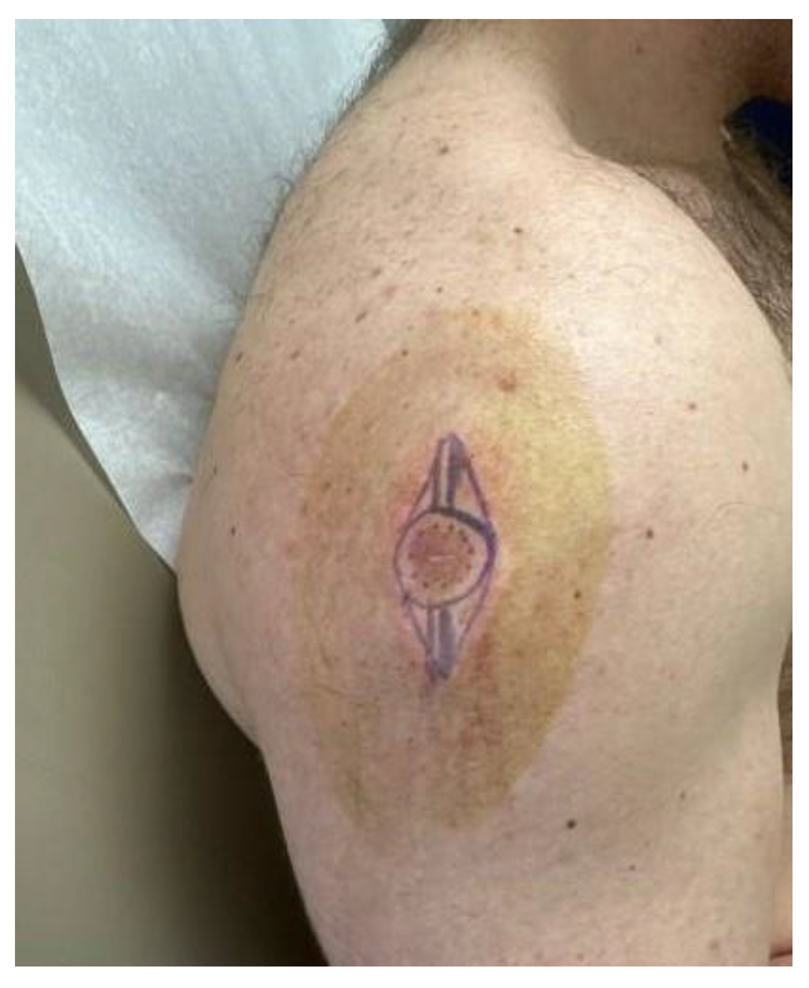 Dermatopathology 11 00036 g001