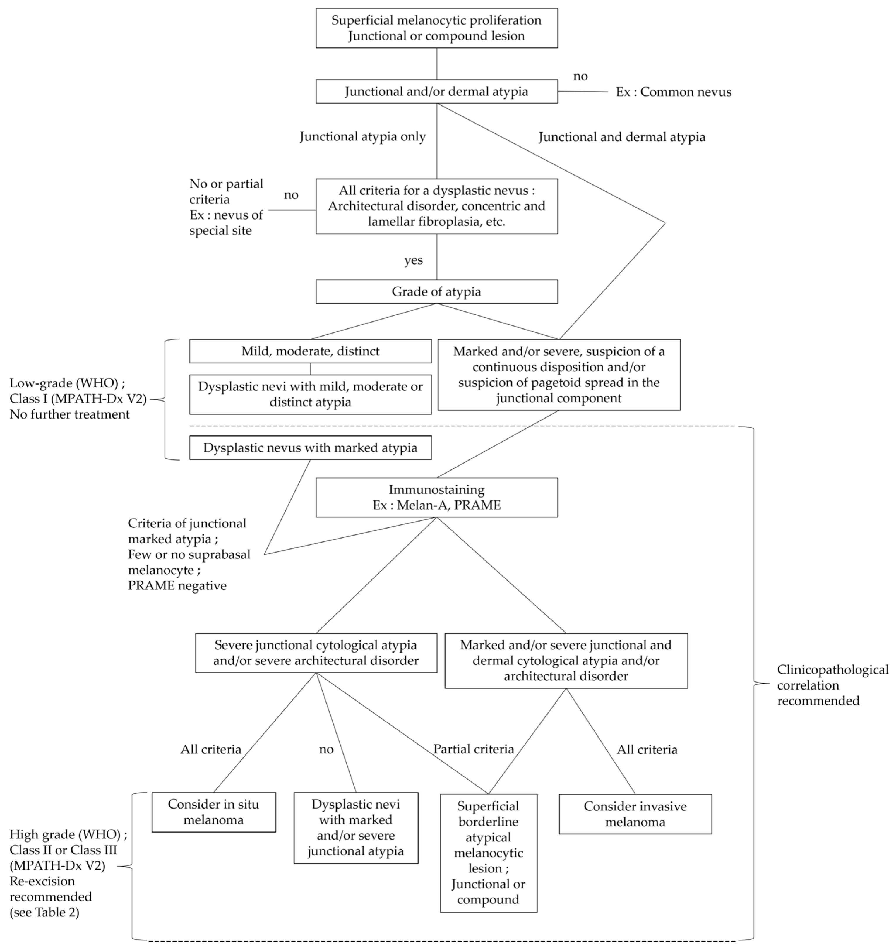 Dermatopathology 12 00003 g011