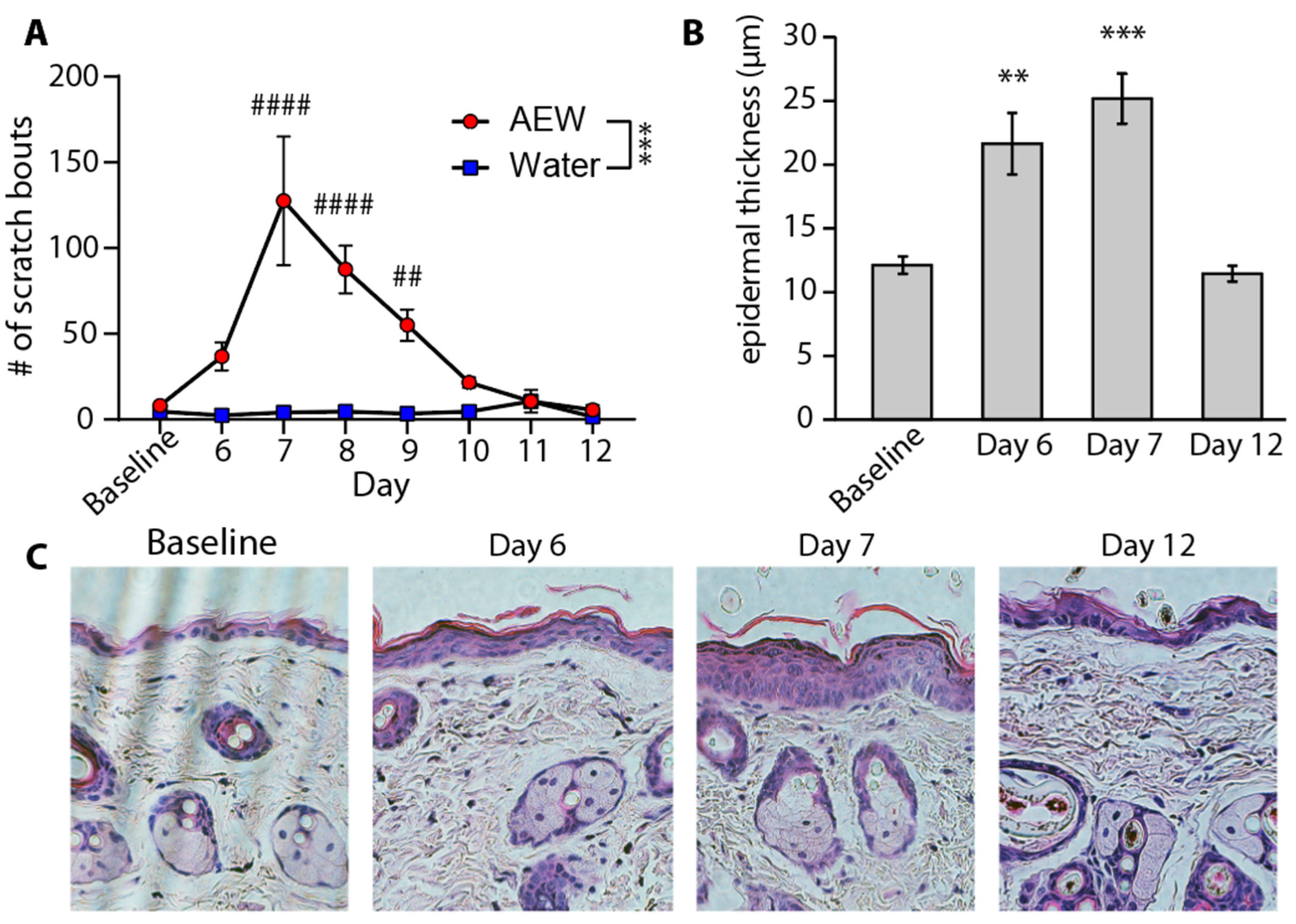 Dermatopathology 12 00005 g001 Dermatopathology 12 00005 g001