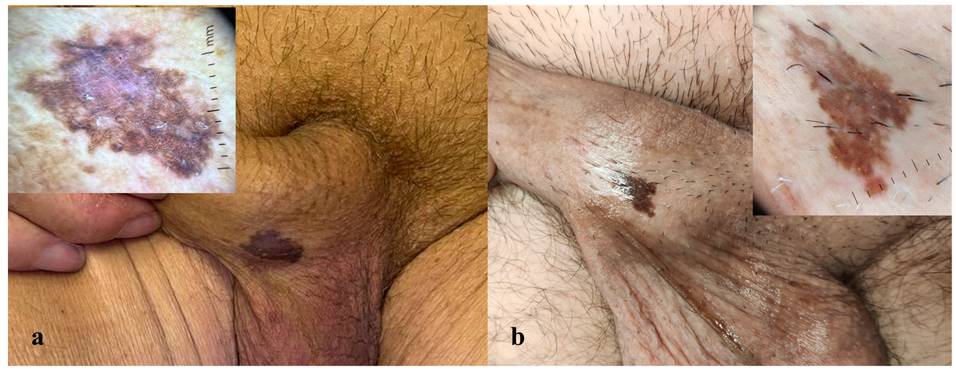 Dermatopathology 12 00019 g001