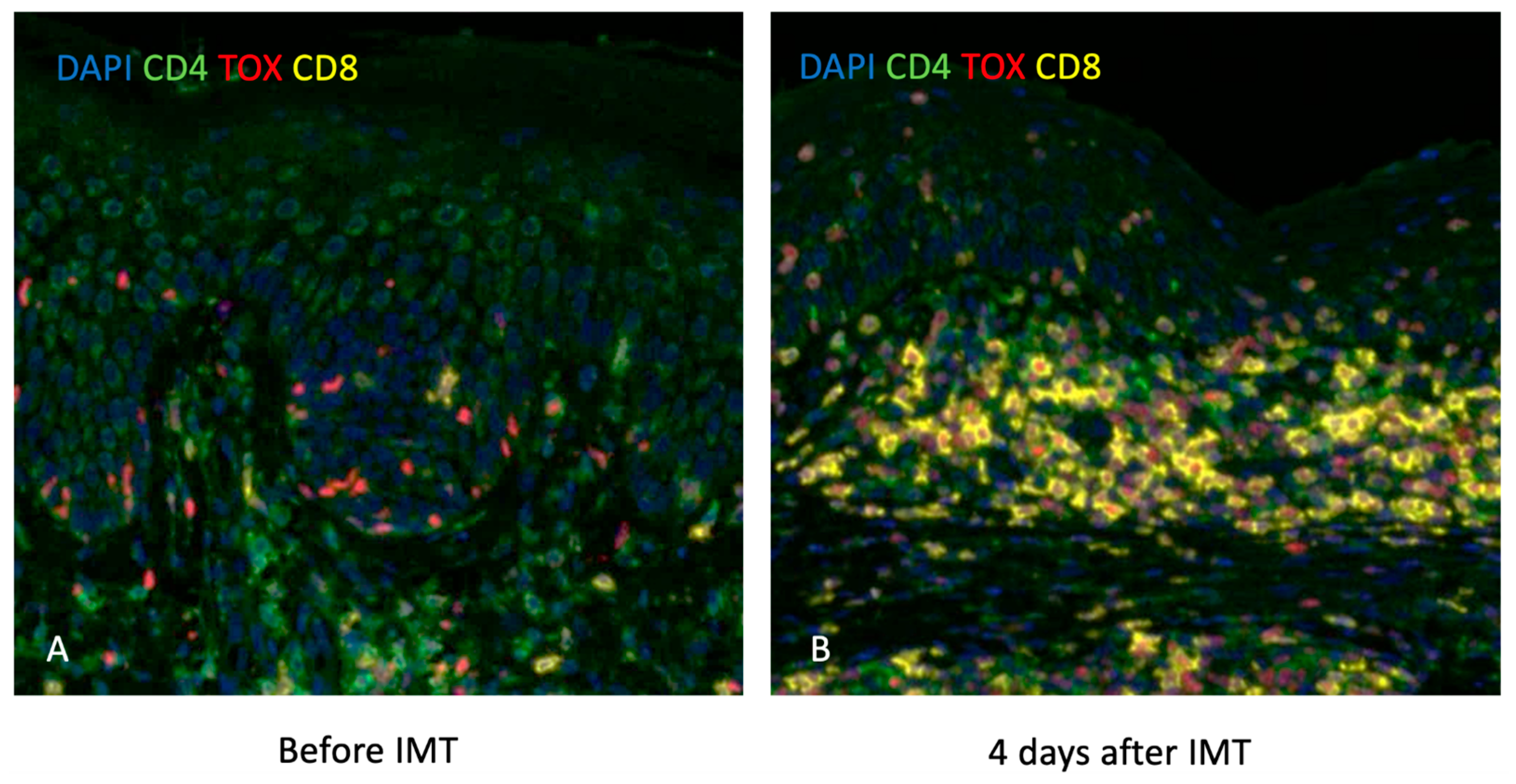 Dermatopathology 12 00022 g002