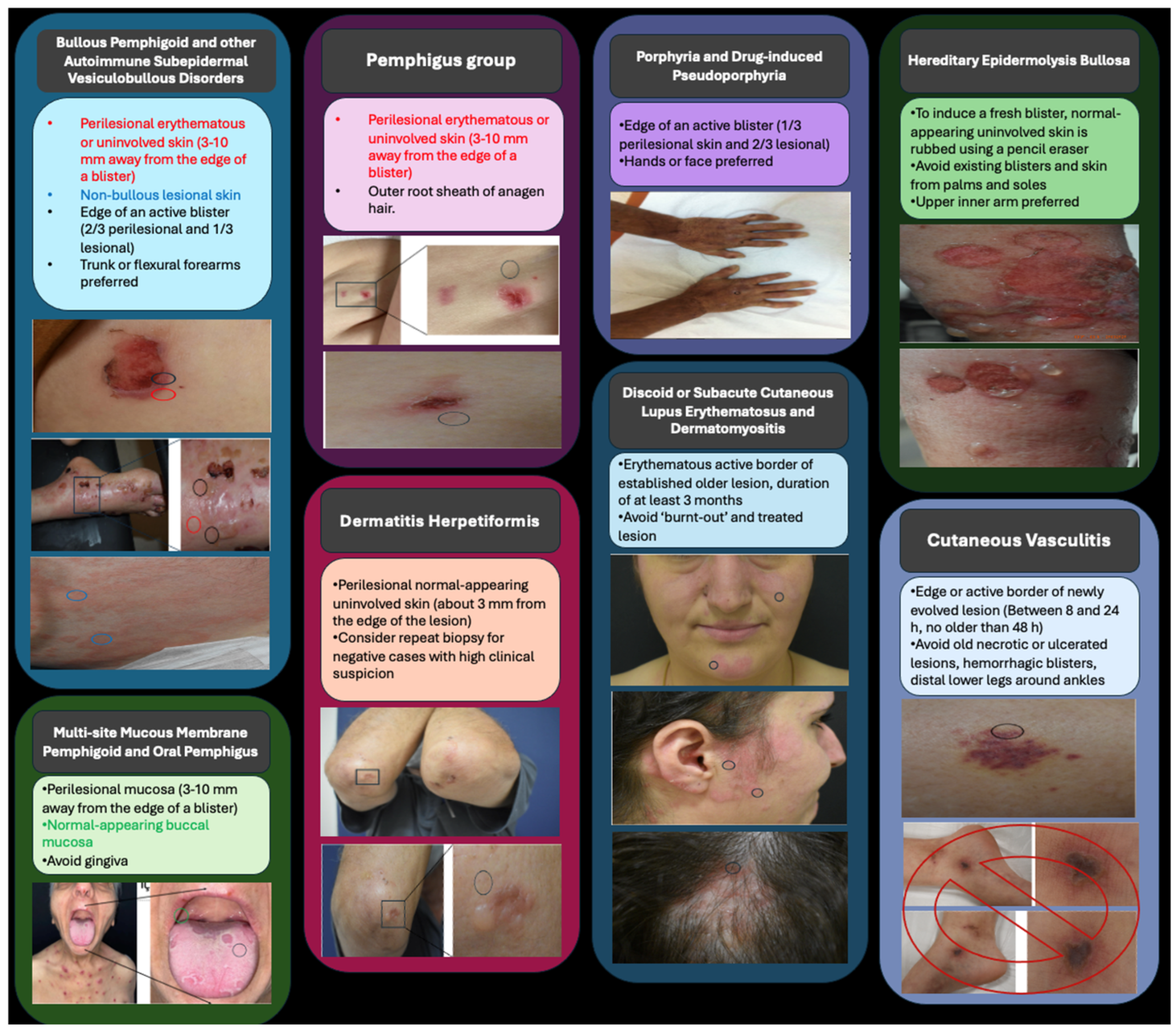 Dermatopathology 12 00026 g001