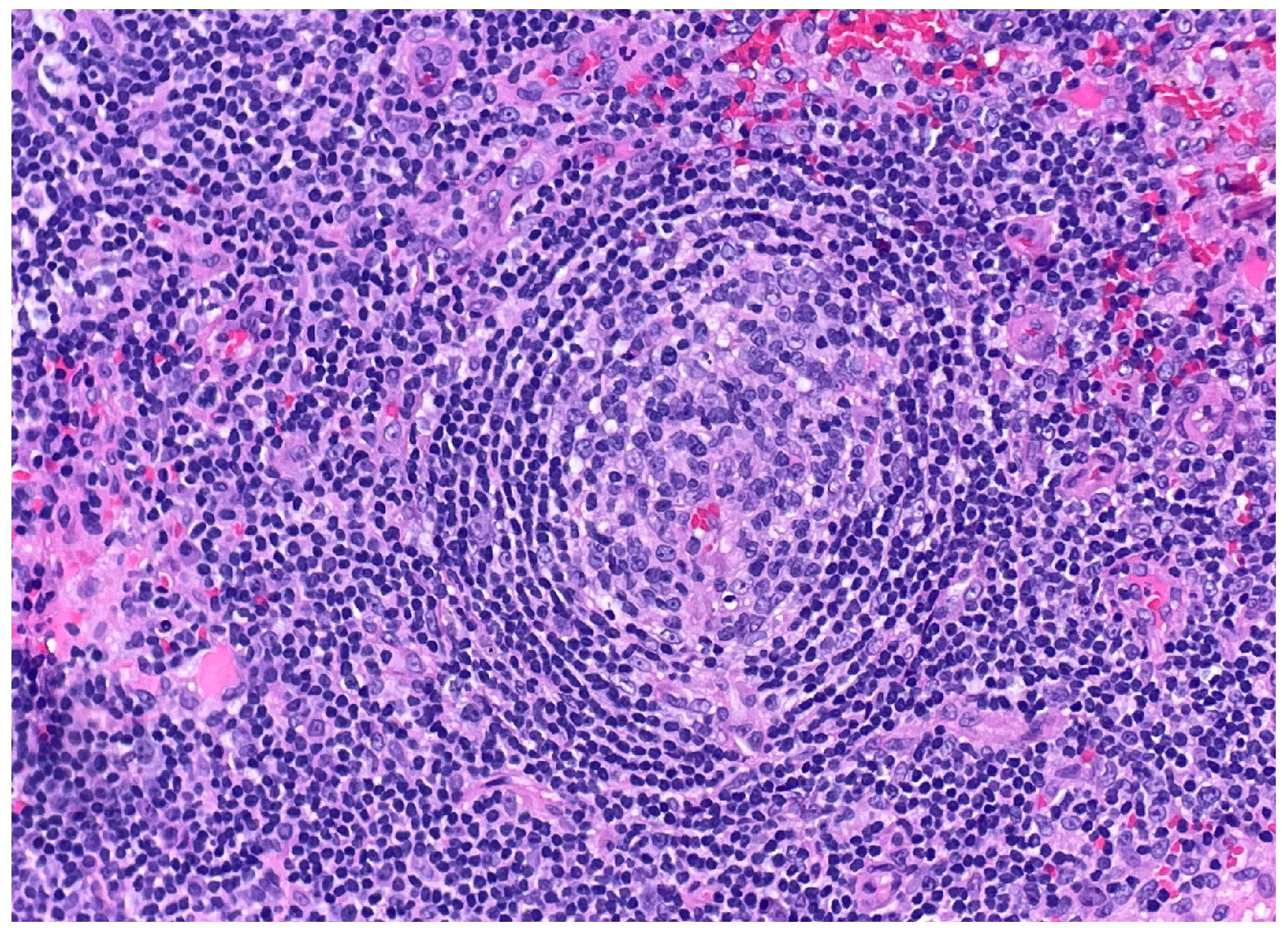 Dermatopathology 12 00033 g002