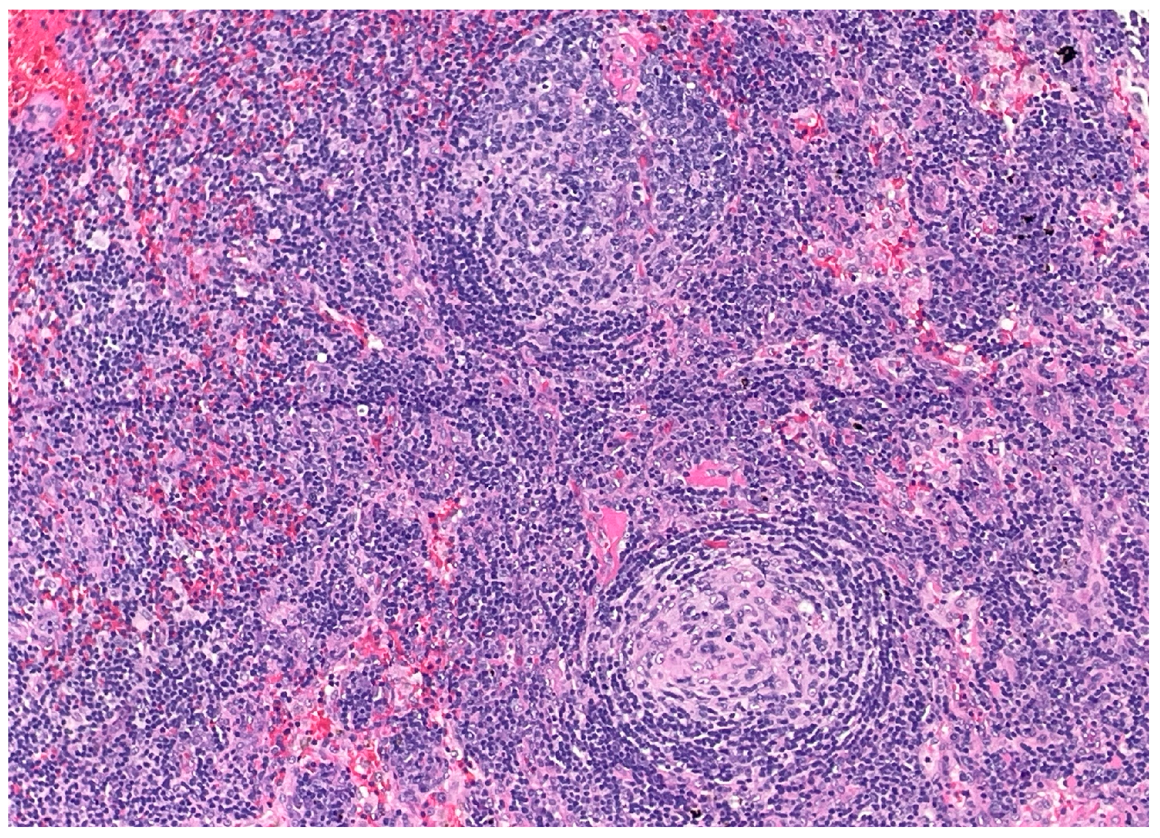 Dermatopathology 12 00033 g003