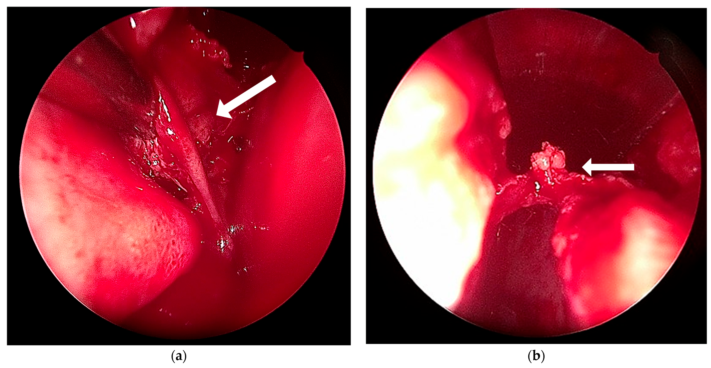 Dermatopathology 12 00040 g004