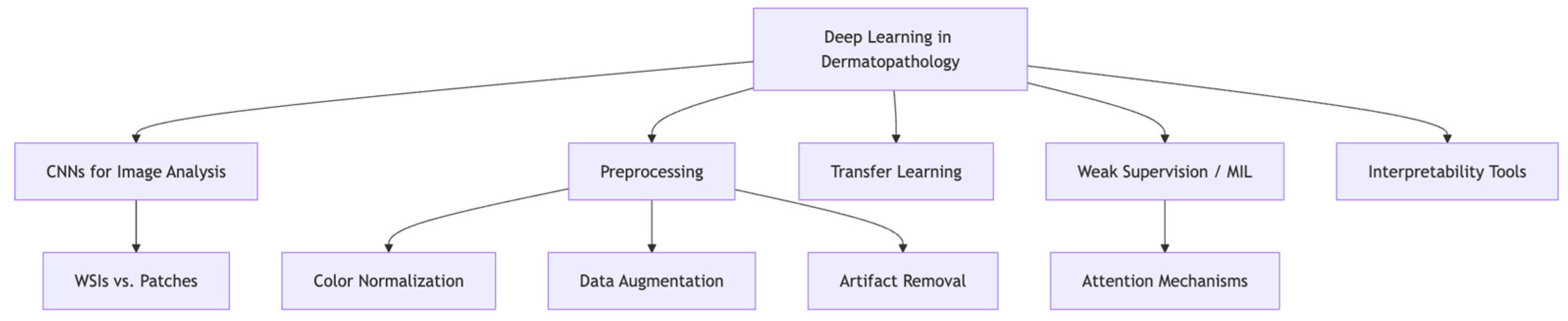 Dermatopathology 12 00042 g001 Dermatopathology 12 00042 g001
