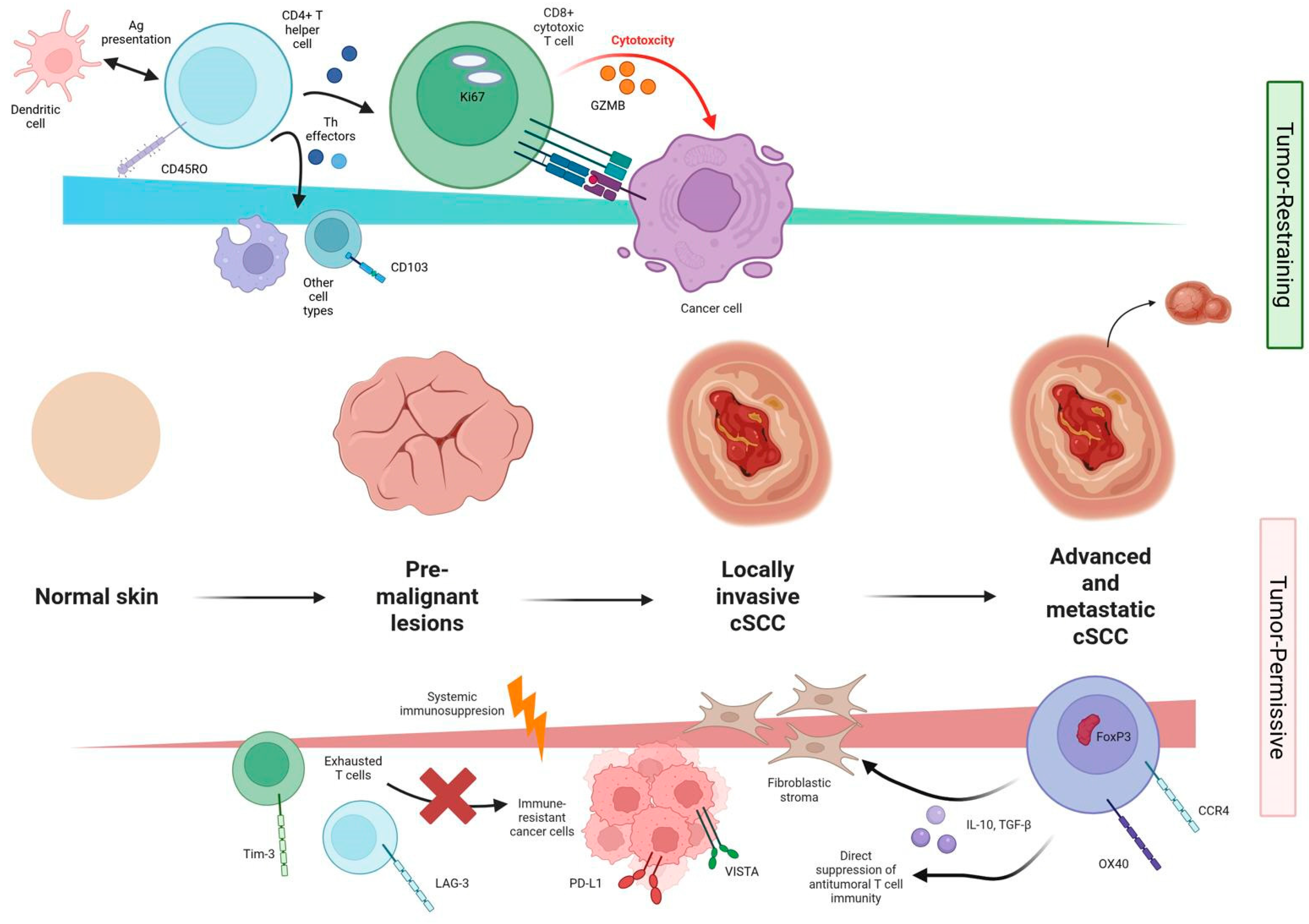 Dermatopathology 13 00006 g002