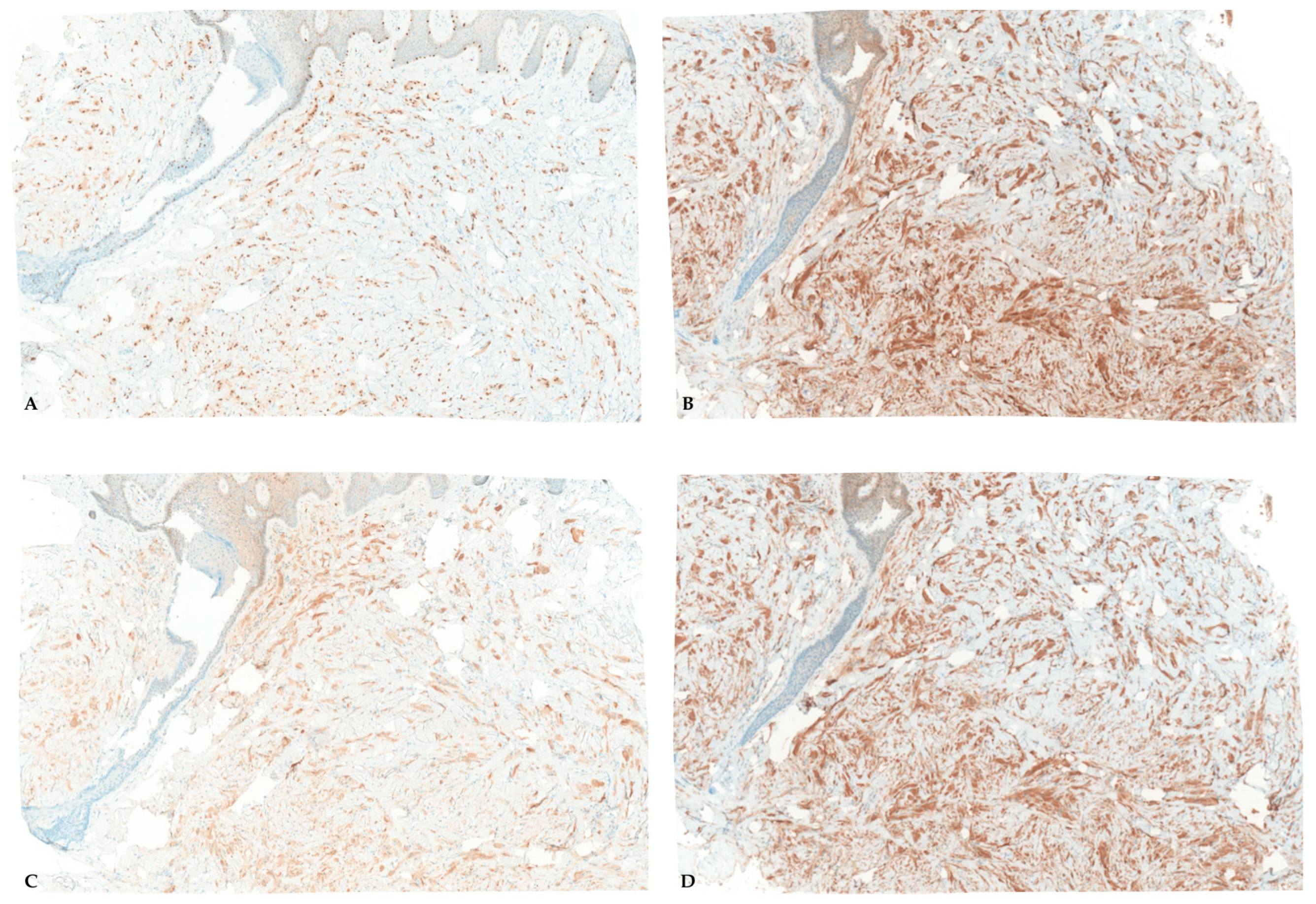 Dermatopathology 13 00011 g003