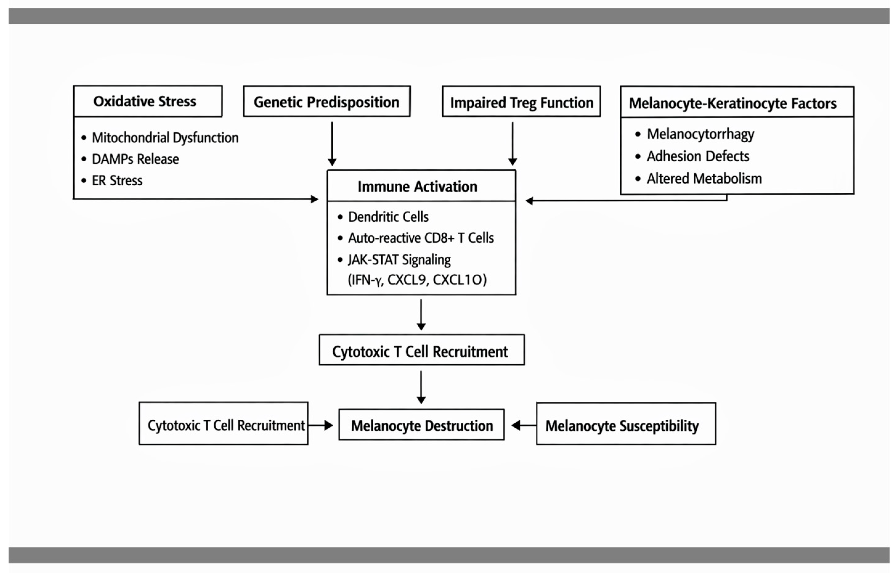 The Cutaneous Immune Microenvironment in Selected Inflammatory Skin ...