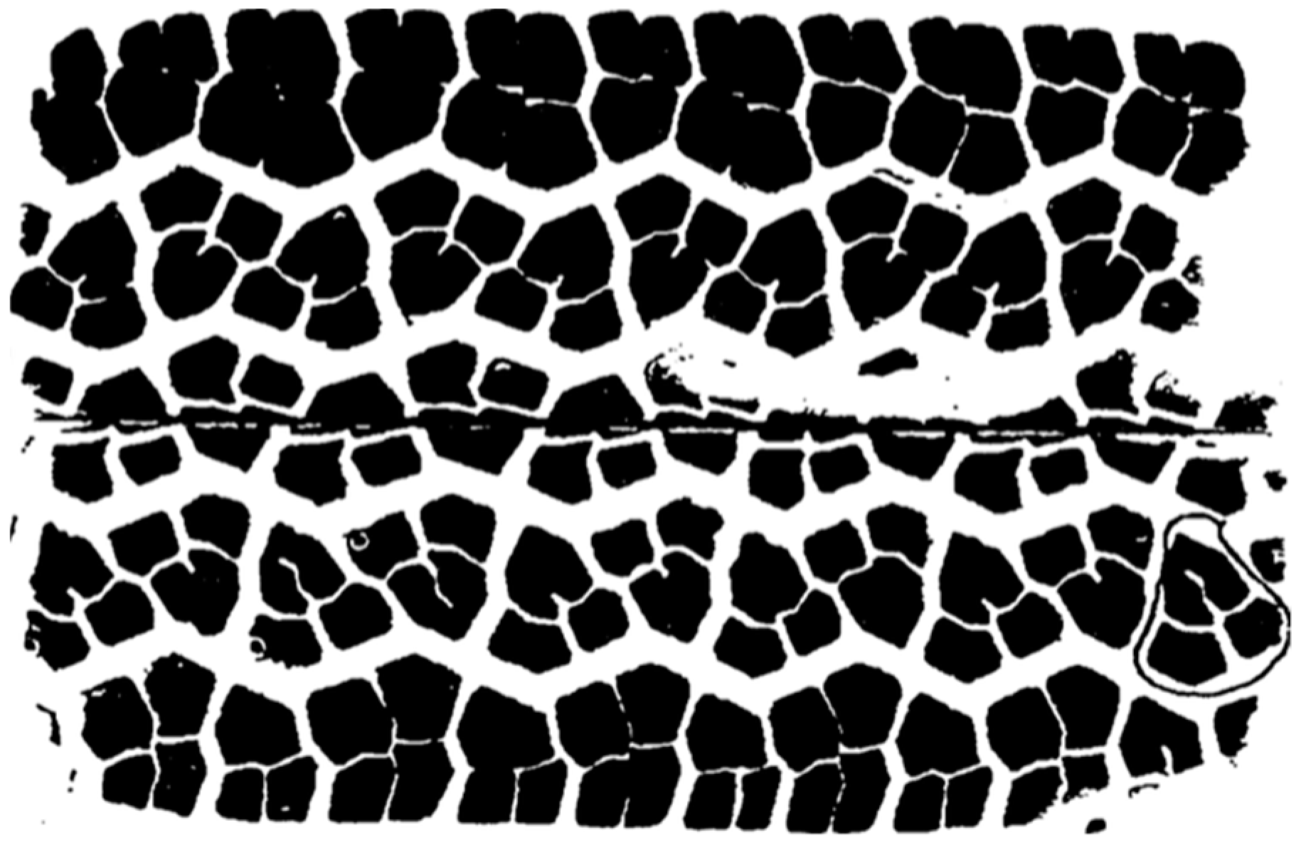 Designs 02 00038 g016 Designs 02 00038 g016