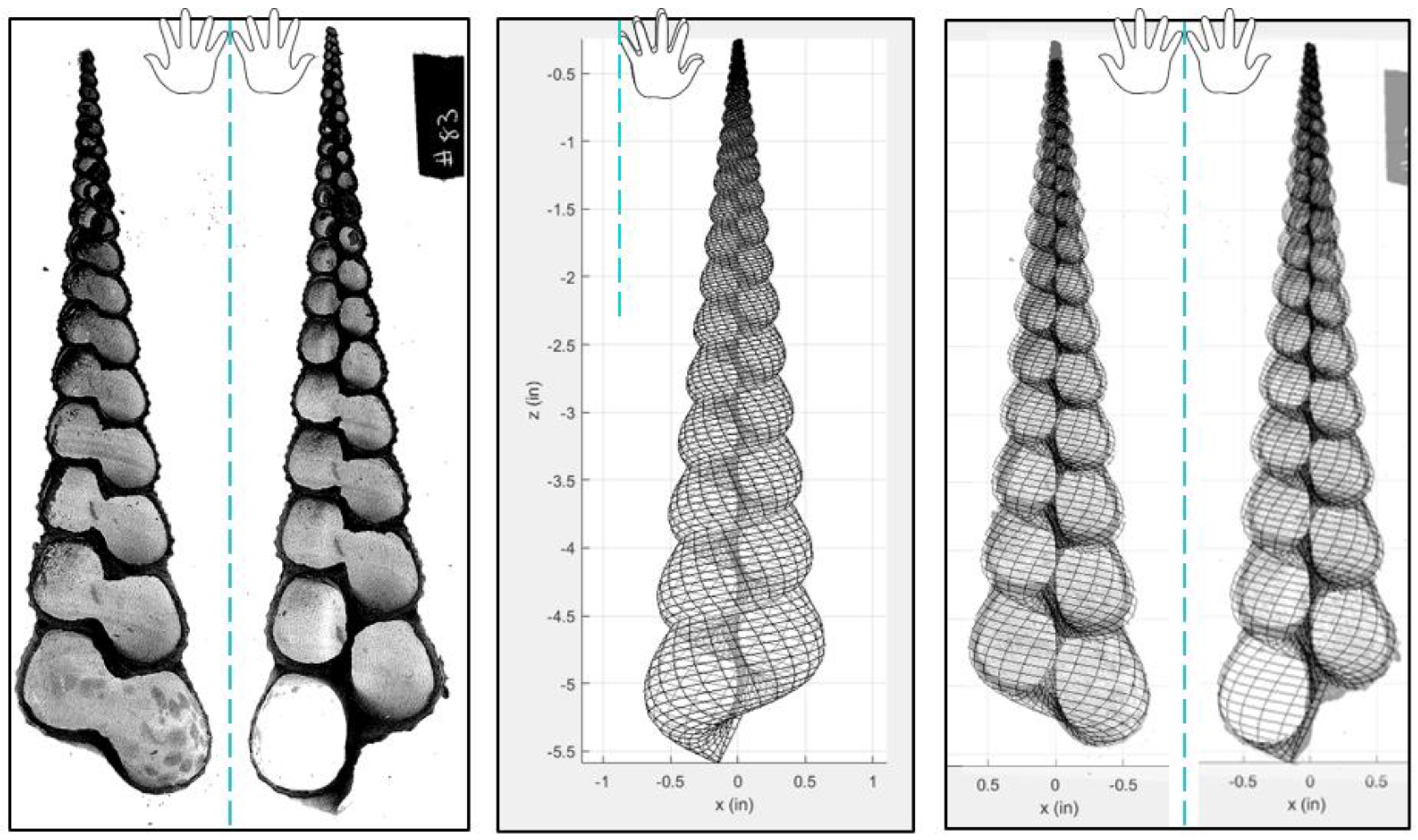 Designs 02 00046 g005