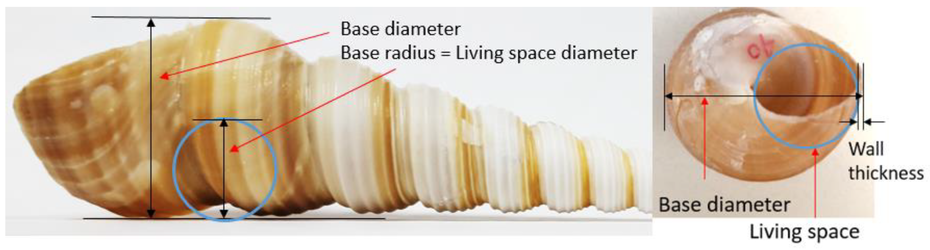 Designs 02 00046 g008