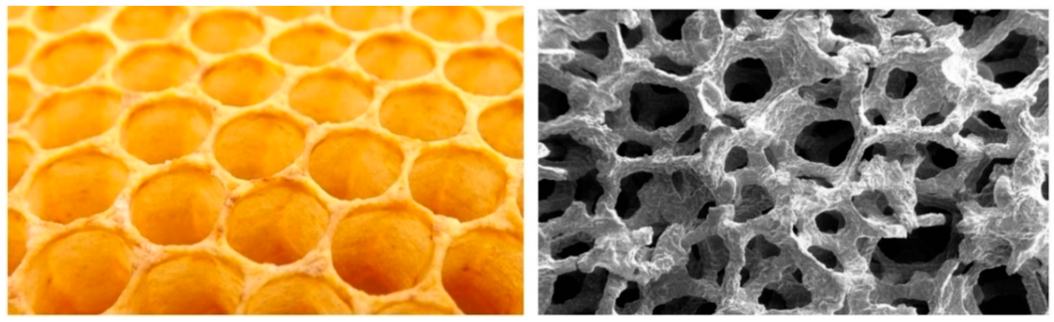 Designs 03 00019 g007