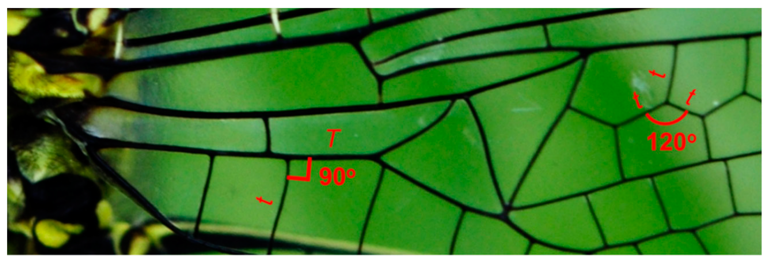 Designs 03 00019 g017