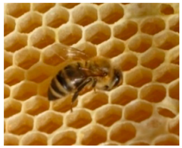 Designs 03 00019 i005