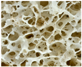 Designs 03 00019 i006