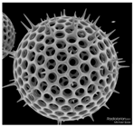 Designs 03 00019 i008