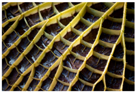 Designs 03 00019 i010