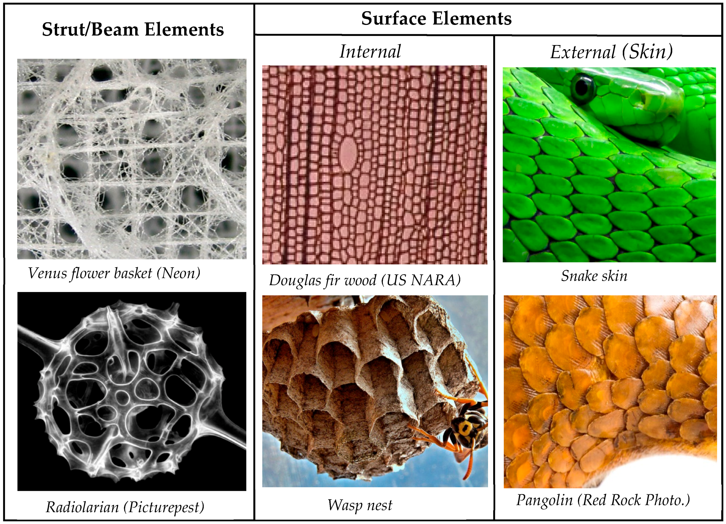 Designs 03 00019 i030