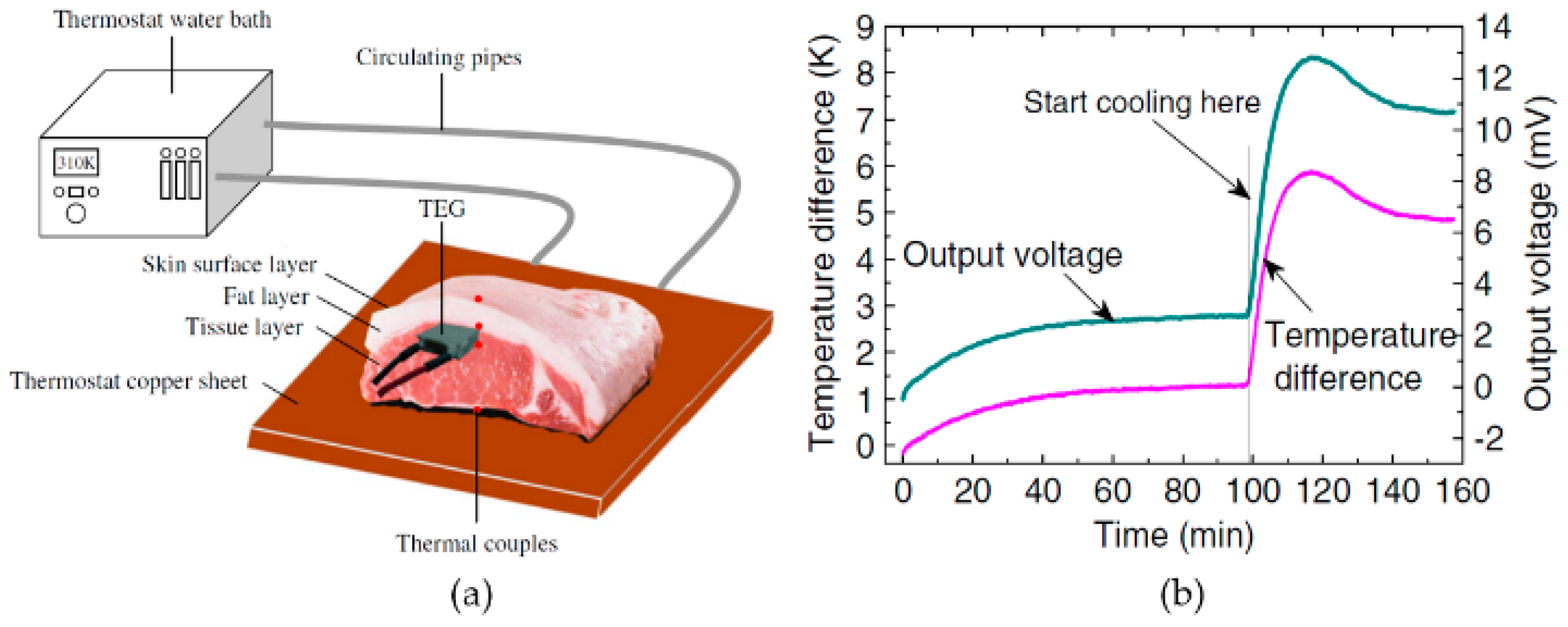 Designs 03 00022 g015 550