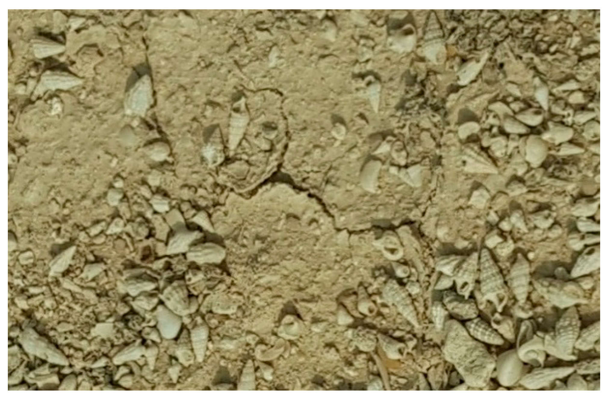 Designs 05 00038 g008 550