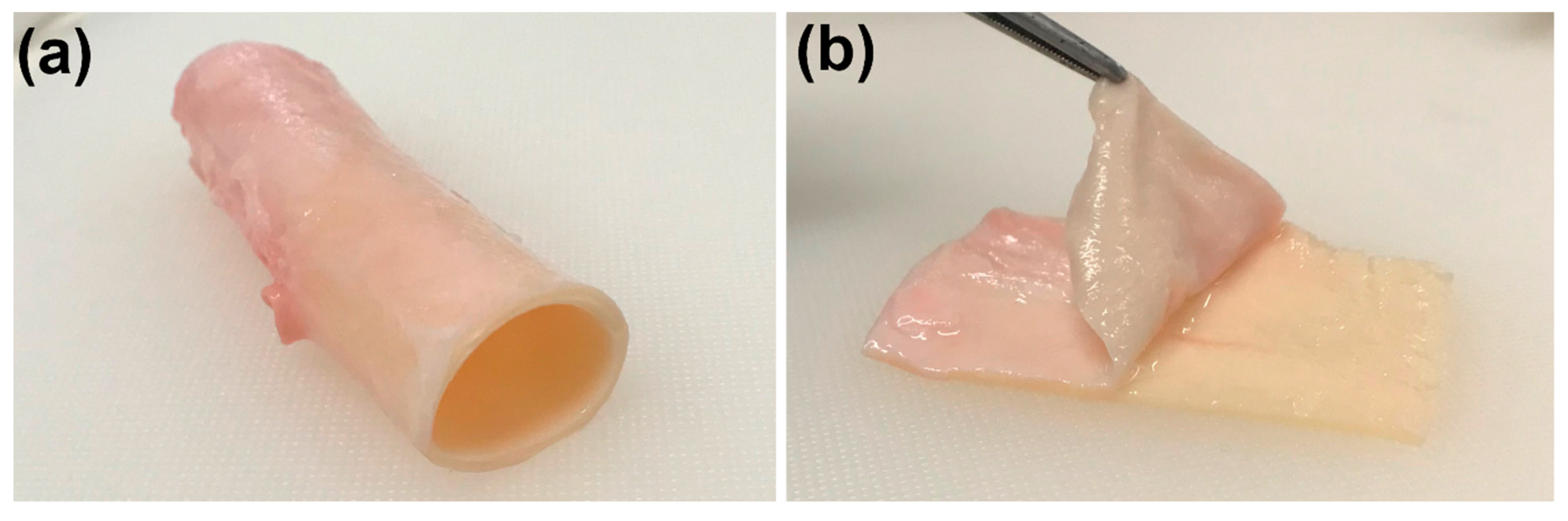 Designs 06 00005 g001 Designs 06 00005 g001